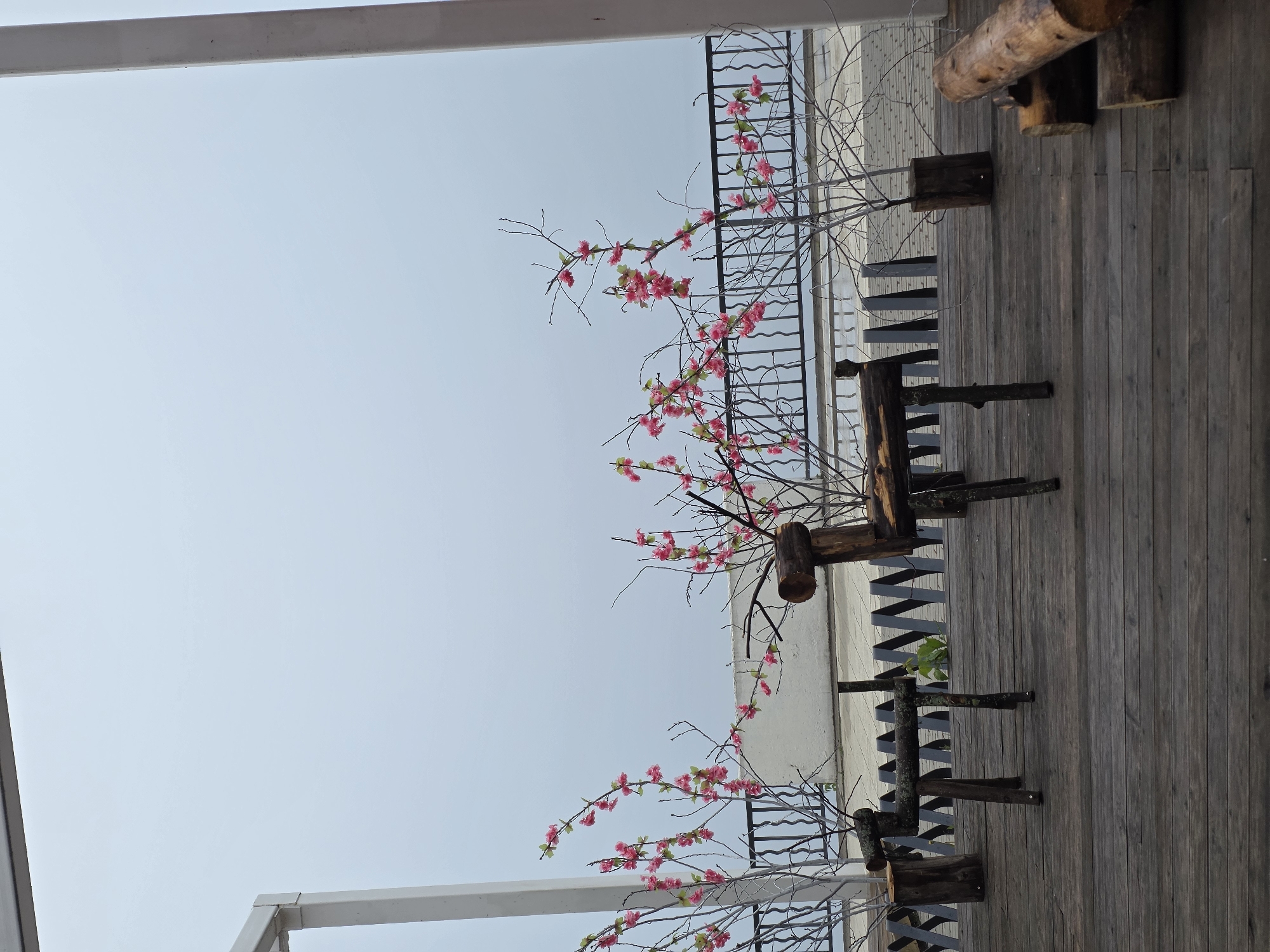 This bright, daytime photograph captures an outdoor wooden deck or terrace, located in Chaikovsky, Russia. The scene is dominated by a clear, light blue sky in the background, suggesting fair weather.
The primary subjects include a wide wooden deck, constructed from natural, weathered planks. Arranged across the deck are several decorative displays of artificial flowering branches, featuring vibrant pink blossoms that resemble cherry or plum flowers. These branches are held in rustic planters made from tree stumps or sections of logs, contributing an organic and natural aesthetic. Other rough-hewn wooden logs and beams are scattered on the deck, possibly serving as seats, tables, or structural elements.
In the mid-ground, a black metal railing with a distinctive zig-zag pattern runs along the edge of the deck, partially obscuring a light-colored building wall behind it. A prominent white beam or structural element frames the left side of the image, hinting at an overhead covering or part of the building's architecture.
No people are visible, and no specific activity is taking place, creating a static and peaceful scene. The atmosphere is serene and decorative, with the pink blossoms evoking a sense of spring or pleasant outdoor leisure. There is no visible text in the image.