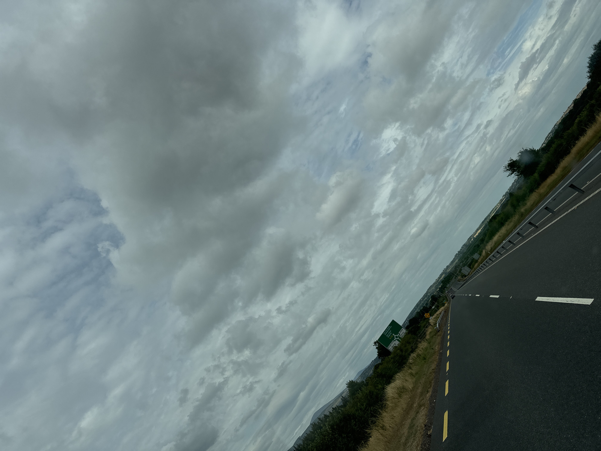 The image shows a downward-angled view of a rural highway in the city of New Ross Municipal District, Ireland. The road is asphalt with yellow and white lane markings. Guardrails line the right side of the road. On the left, dry grass and trees are visible. A green highway sign with white text is positioned on the left side of the road, indicating directions to "Enniscorthy" and "Waterford". The sky is overcast with layers of grey and white clouds. The overall scene suggests an overcast day on a well-maintained road in a rural setting.