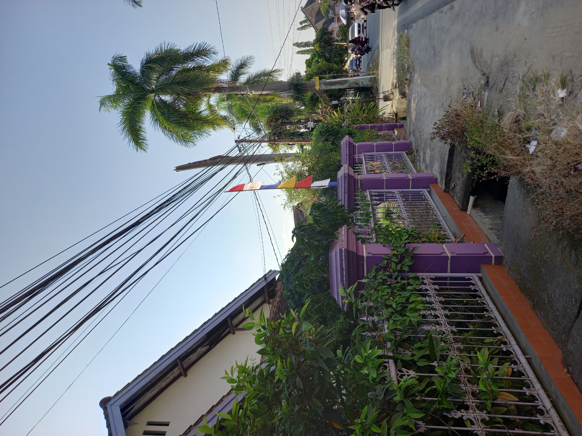 The image depicts a street scene in Samarinda, Indonesia, on a clear day. In the foreground, a white fence with purple decorative pillars runs along the left side of the frame. Lush green foliage grows in front of and on the fence. To the right of the fence, a paved sidewalk leads to a street. A storm drain is visible on the sidewalk. The street itself is paved and shows some wear. Several vehicles are present, including a white car and motorcycles with riders. Palm trees line the street, some with tall, slender trunks and others with fuller crowns. Overhead, a complex network of dark electrical wires stretches across the sky. A flagpole with red, white, and yellow flags is situated near the fence. Buildings with pitched roofs are visible in the background, with one building featuring white walls and a dark roof. The overall environment suggests a residential or commercial area within the city.