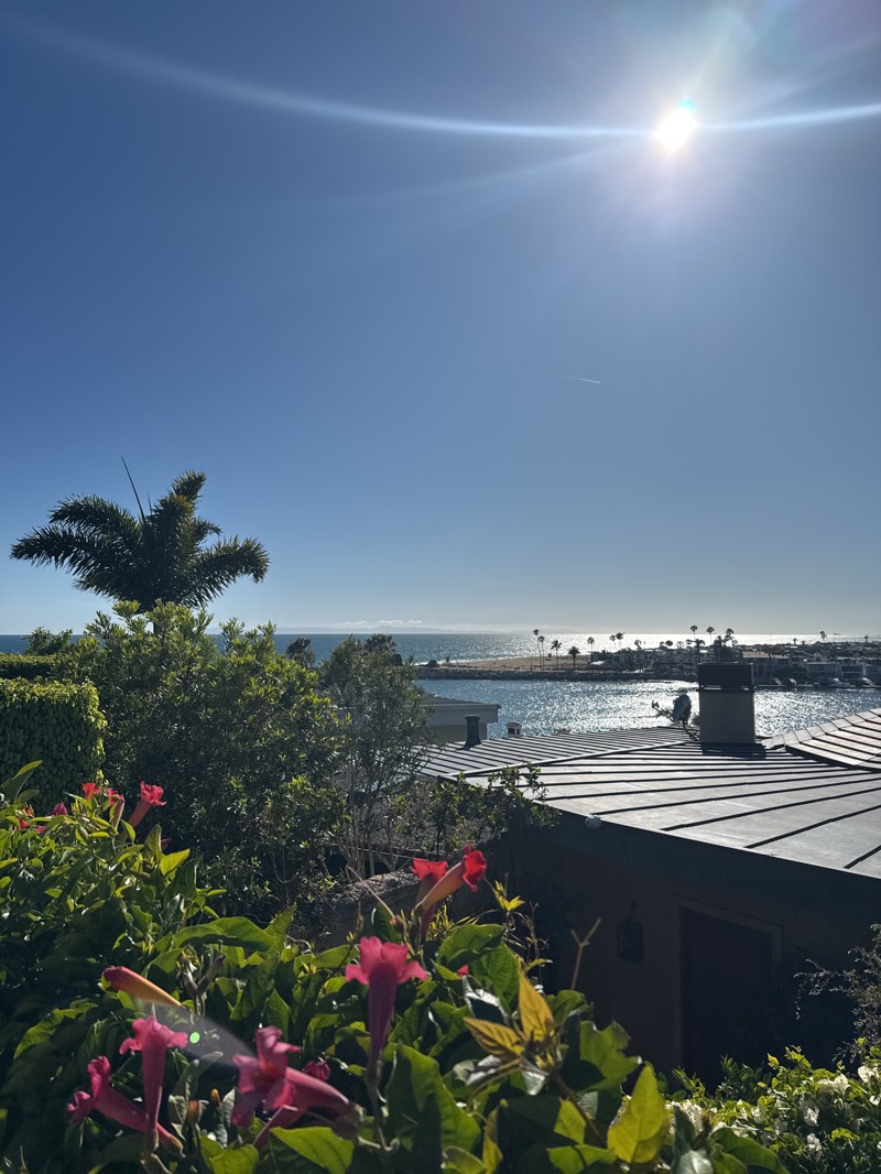 The image depicts a sunny, daytime outdoor scene in Newport Beach, United States. The sky is clear blue with a bright sun in the upper-right portion. In the foreground, there's a lush arrangement of plants, including pink trumpet-shaped flowers and green foliage. Behind the plants, there's a dark gray tiled roof of a building with a chimney. Beyond the roof, there's a view of the ocean. A coastline is visible, lined with palm trees. A waterway, potentially a harbor entrance, is also visible.
