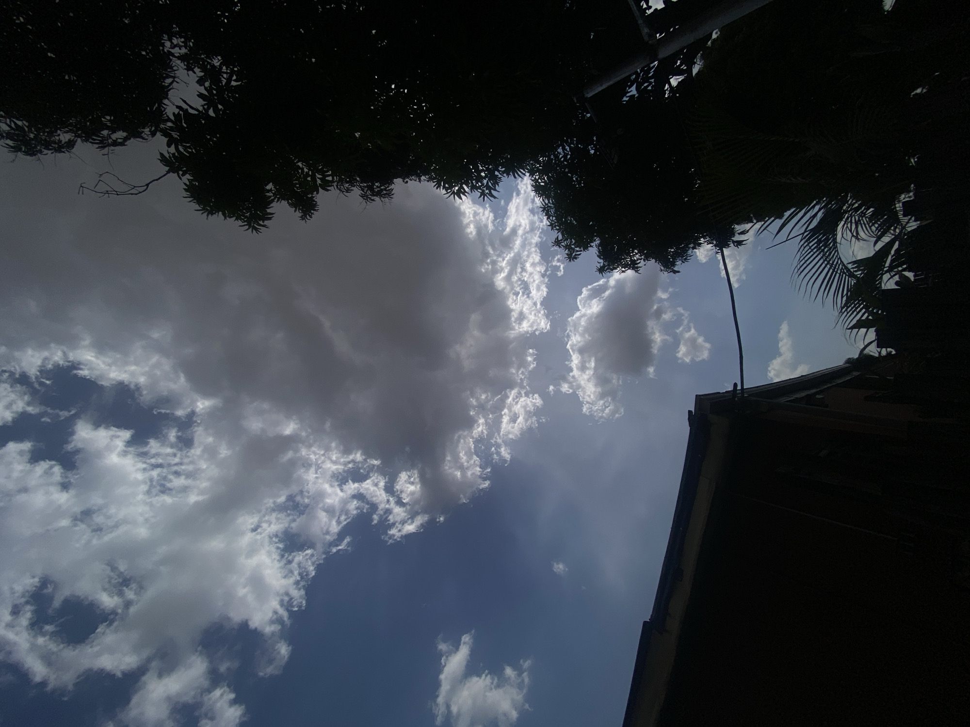 The image, seemingly taken from ground level in Barden Yana, Nigeria, depicts a sky filled with scattered cumulus clouds, framed by dark silhouettes of trees at the top and the corner of a building on the right. The sky is a mix of light and dark blue patches with varying cloud densities. The tree foliage is dense and obscures much of the upper portion of the image. A section of a dark-colored building occupies the lower right corner. No people are visible. The environment suggests a daytime scene, likely outdoors, with trees and a building being the main physical structures. The scene lacks detail or clues to pinpoint a specific location within Barden Yana.