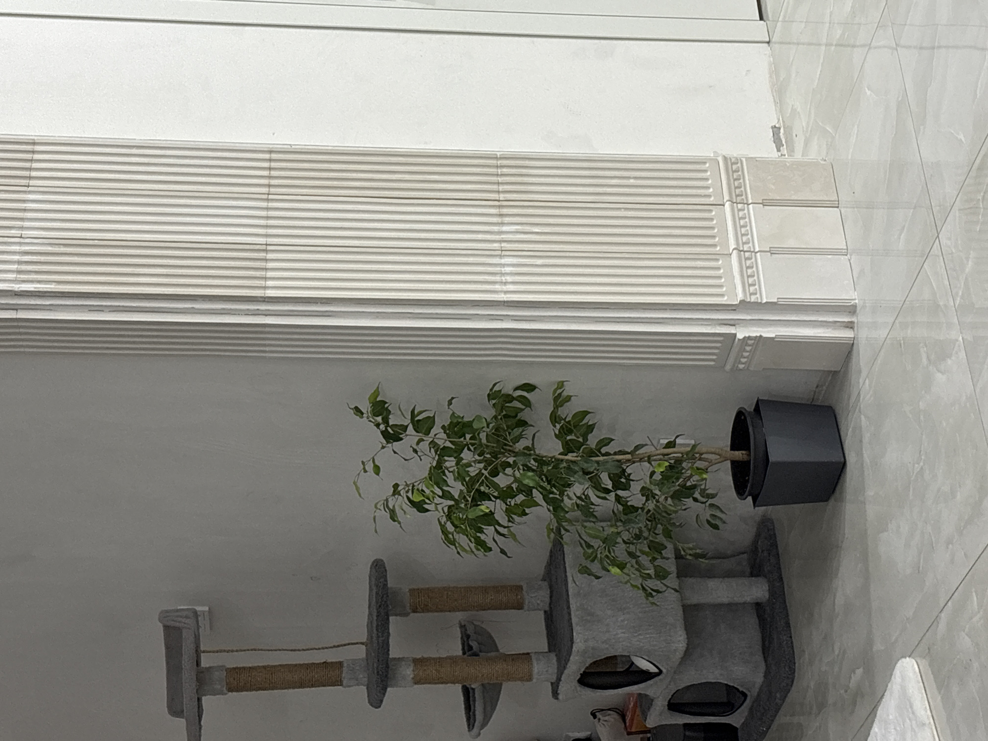 The image depicts a section of an interior space, likely a room in Unknown, Unknown. The wall features a white trim with horizontal lines near the top, transitioning into a tiled surface on the right side. A potted plant with green leaves is placed beside the tiled area, its pot colored in dark gray or black. Below the plant, there is a cat tree or play structure made of gray fabric and rope. The room appears to be well-lit and the floor surface is not visible in the image.