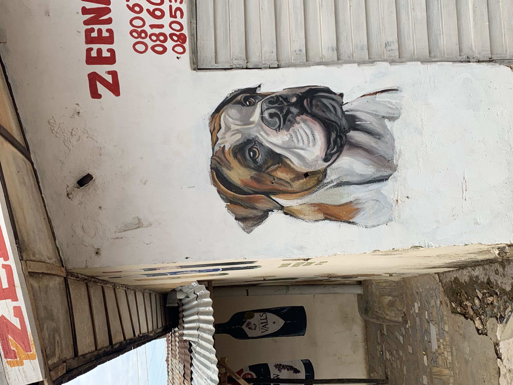 The image depicts the exterior corner of a building, identified as being in Rafin Par, Nigeria. The primary subject is a large, detailed painting of a dog's head, resembling a bulldog or mastiff with brown, white, and brindle markings, rendered on a white-painted wall. Above the dog painting, partially visible red text on the white wall reads "ZEENA," followed by three lines of red numbers, partially obscured, starting with "0806," "08160," and "08053." To the right of the dog painting, a light-colored, horizontally slatted metal or wooden shutter door is closed.
An overhang or awning extends from the left side of the building, constructed with an aged, corrugated metal roof supported by visible wooden beams. Below this awning, two large, cutout silhouettes of dark-colored bottles are suspended. One bottle prominently displays a white label with "VALLS" written in dark text and a stylized skull emblem above it. The other bottle, partially visible, shows a label with what appears to be a grape cluster design. The ground in the foreground consists of uneven concrete, sections of broken tiles or paving, and patches of dirt and debris. A vertical pipe or pole is visible against the wall near the corner, leading down to the ground. In the background, beyond the awning, a clear sky and a portion of another building with a similar corrugated metal roof are visible. No individuals or live animals are present in the scene. The structures exhibit signs of wear, weathering, and aging.