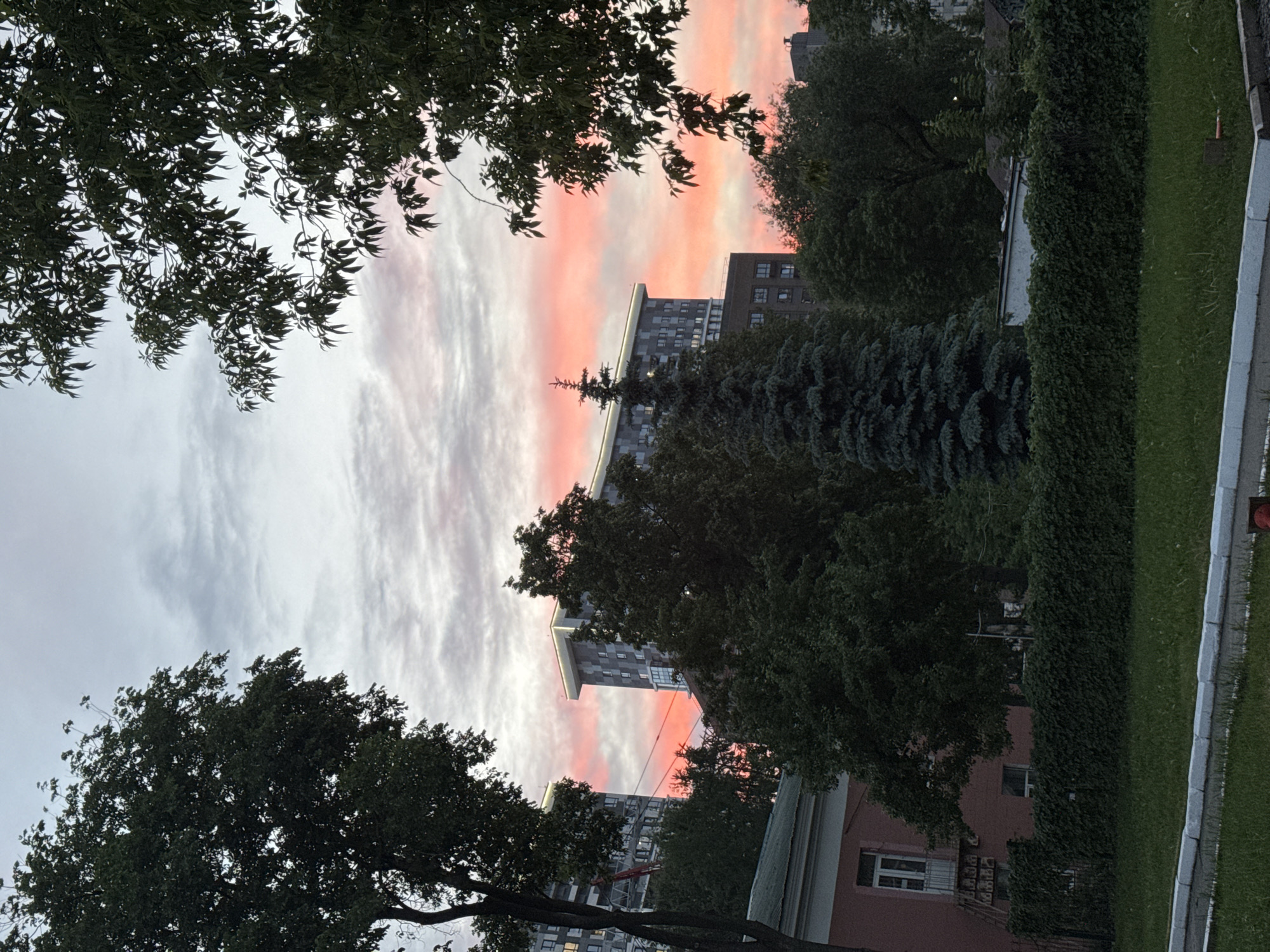 The image depicts a partially obstructed view of a sunset or sunrise sky in Izhevsk, Russia. The sky displays streaks of pink and grey, visible between buildings and trees. Two multi-story apartment buildings are visible, partially obscured by trees. In the foreground, tree branches with green leaves frame the sky. A hedge and a grassy area border the right side of the frame. A building, possibly a residence, is also partly visible.