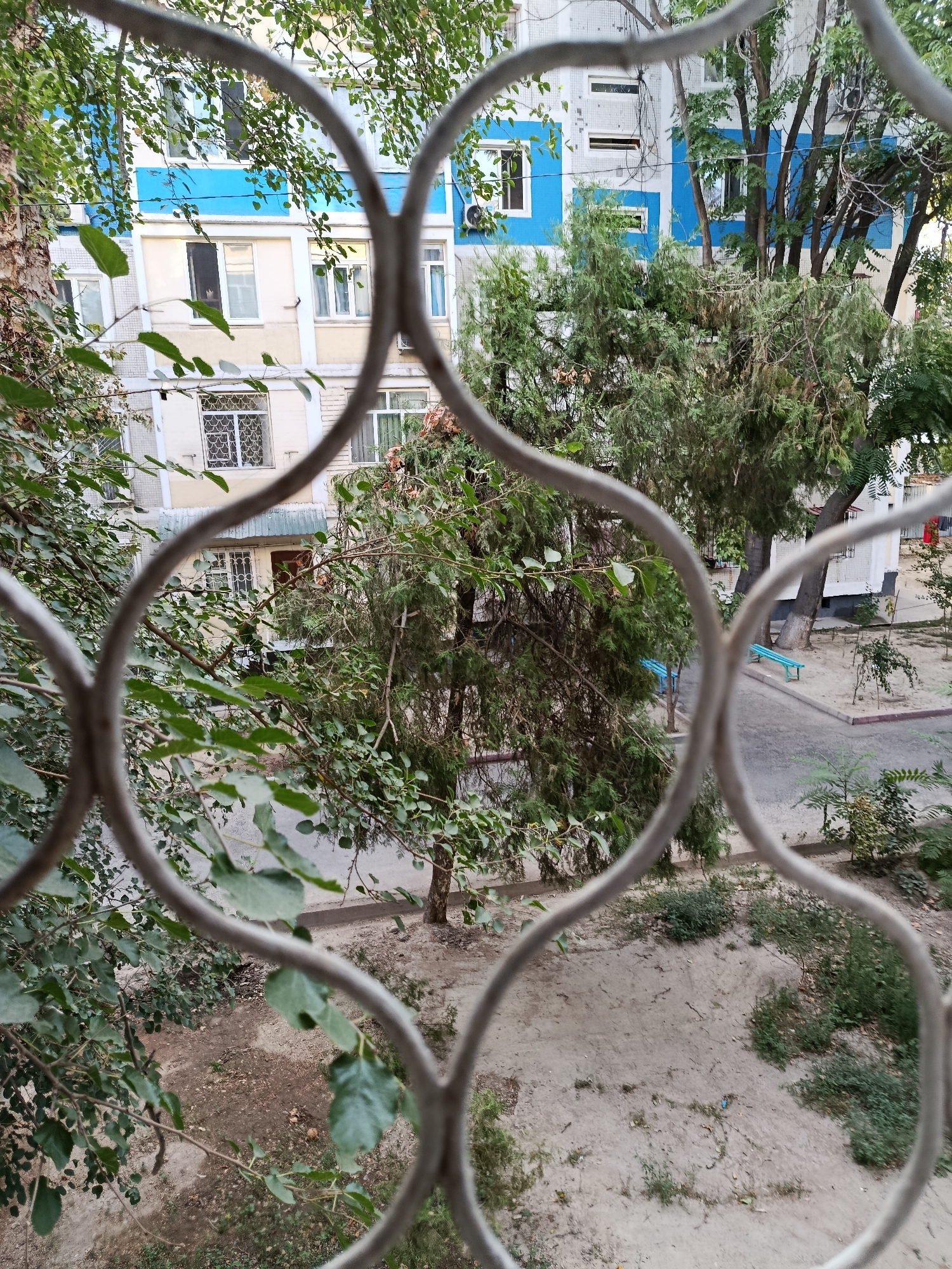 The image is a medium shot, taken from behind a metal grate, looking out at a courtyard in an urban setting. The perspective is from a slightly elevated position, likely a window. In the background, a multi-story apartment building is visible, characterized by its light-colored facade with decorative blue square accents. Numerous windows, some with metal grates, punctuate the building's exterior. Several trees, including a tall, slender evergreen and a larger deciduous tree with dense foliage, are interspersed throughout the courtyard, partially obscuring the building and the surrounding area. The ground of the courtyard appears to be a mixture of sand, dirt, and sparse vegetation. A paved pathway runs through the courtyard, and two light blue park benches are situated along it. The overall impression is of a residential area within the city of Tashkent, Uzbekistan, given the architectural style and the presence of mature trees commonly found in the region. No people are visible in the scene.