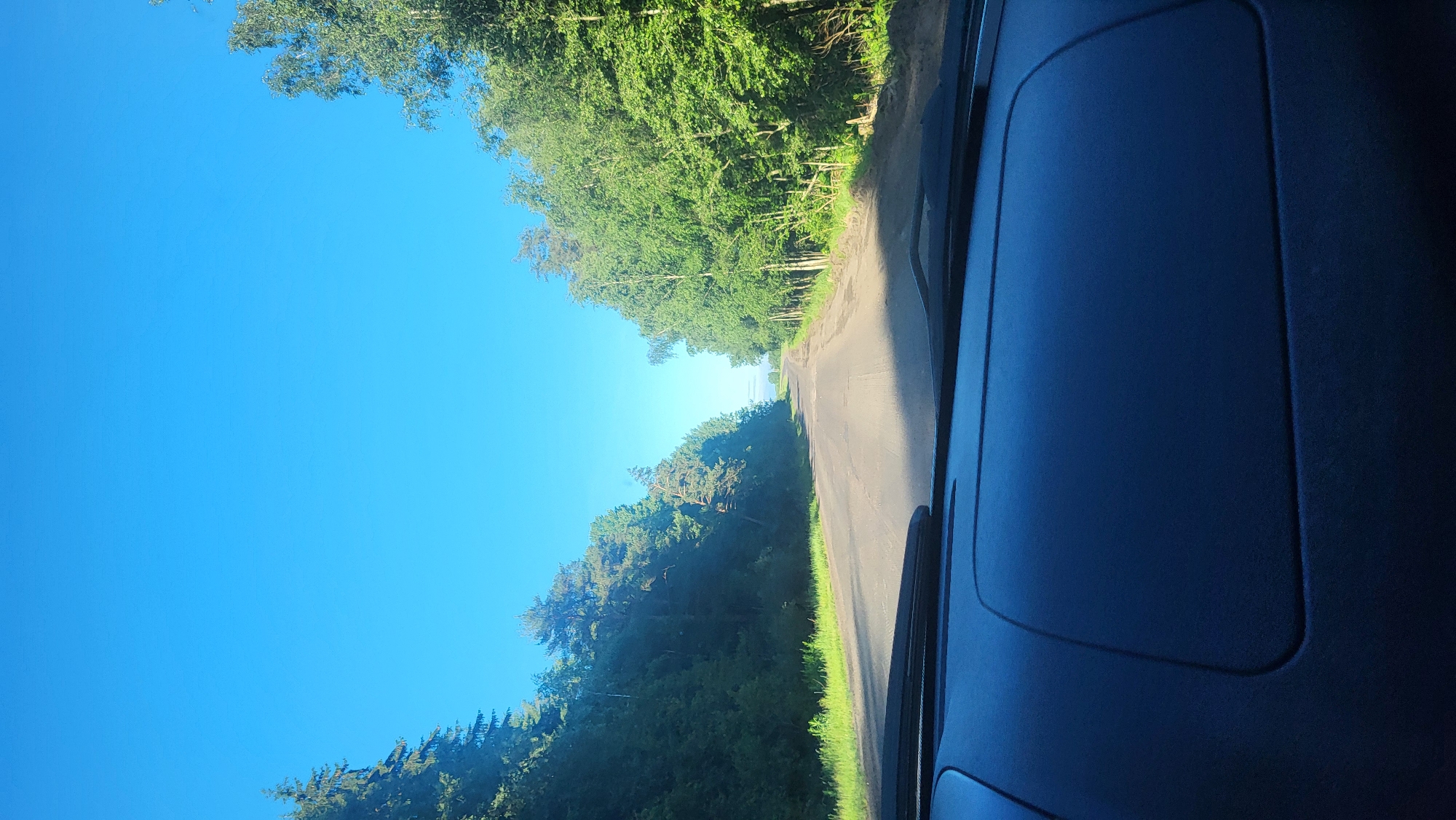 The image captures a view from inside a car driving on a paved road lined with dense green trees on both sides. The sky is a clear, vibrant blue. The road itself appears to be in moderate condition with some visible cracks and unevenness. Sunlight casts shadows on the road, indicating it is daytime. The foreground of the image shows the dark interior of the car, including the dashboard and windshield wipers. The scenery suggests a rural or semi-rural location. Based on the information provided, this scene is located in the city of Плодовое, Russia.