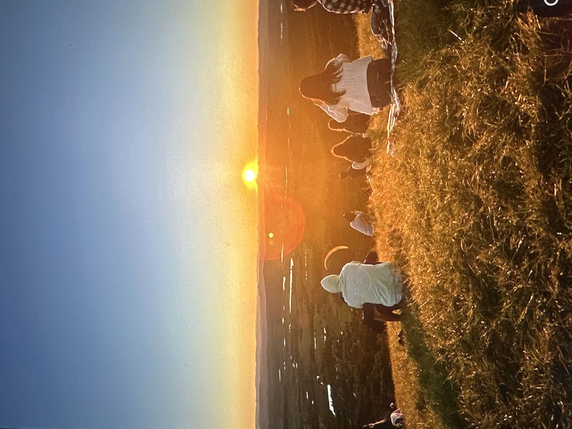 The image captures a group of people seated on a grassy hilltop, observing a sunset over a vast landscape. The sky transitions from a deep blue at the top to a vibrant orange and yellow near the horizon, indicating the sun is setting. The landscape below appears to be a valley with scattered bodies of water and vegetation. In the foreground, several individuals are visible from behind, some wearing hooded sweatshirts and others in casual clothing, all facing the sunset. The lighting suggests late afternoon or early evening. The image does not contain any recognizable landmarks or features that would place it specifically within the city of Tallinn, Estonia.