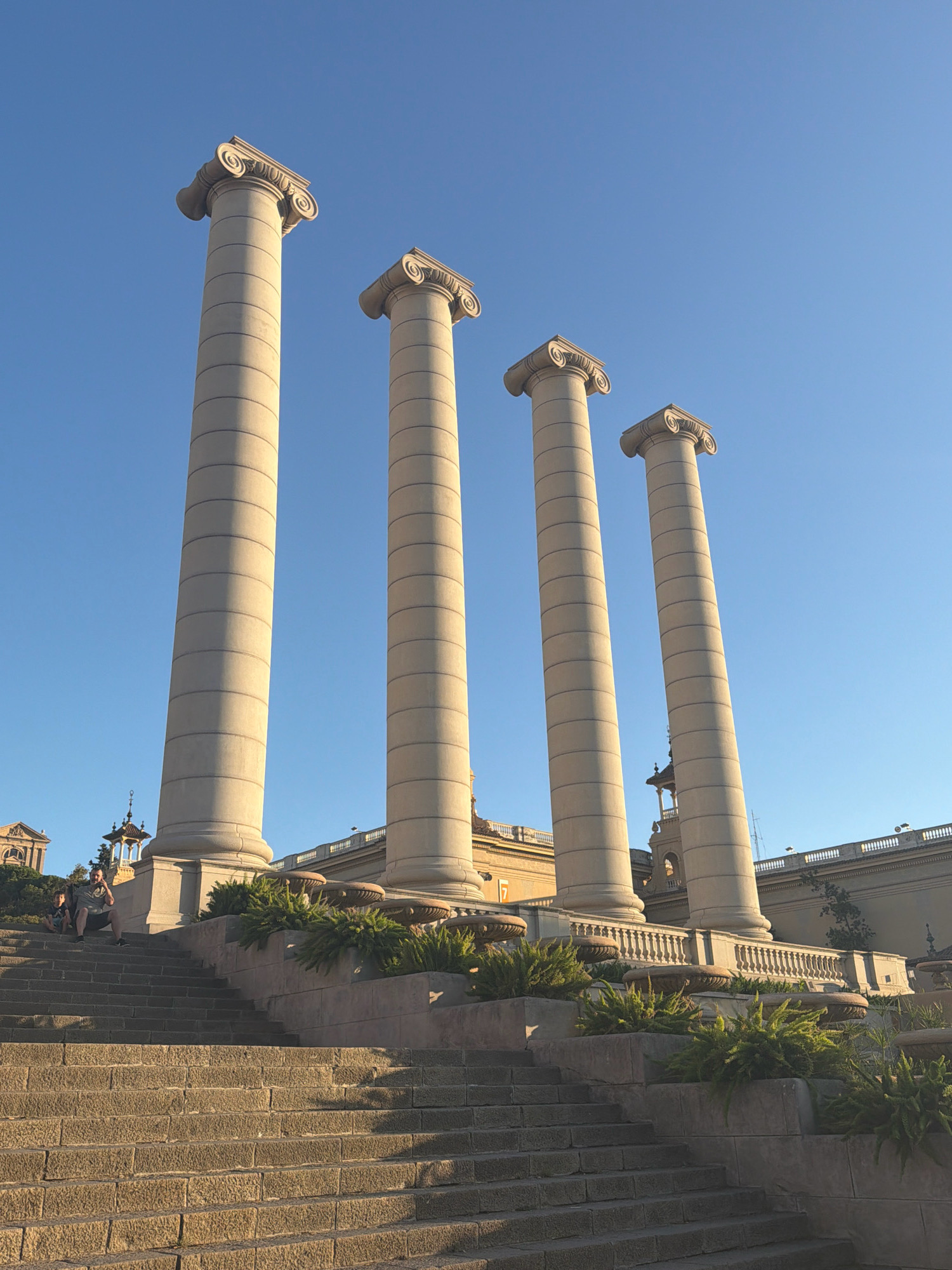 The image depicts the monumental columns of the Palau Nacional, located on Montjuïc hill in Barcelona, Spain. Four imposing Corinthian columns, constructed from stone, dominate the upper portion of the frame against a clear blue sky. The columns exhibit fluting and decorative capitals, casting subtle shadows from the low-angled sunlight. In the mid-ground, a stone balustrade runs horizontally, separating the columns from a tiered series of stone planters filled with lush green shrubs. Below this, a wide, stone staircase occupies the foreground, with rough-hewn blocks forming its structure. Two individuals, a man and a child, are seated on the steps of this staircase. The man is wearing a dark t-shirt and shorts, while the child is dressed in a lighter colored shirt and shorts. The man is looking upwards and appears to be holding a mobile phone. The overall impression is one of grand architecture and a peaceful daytime setting.