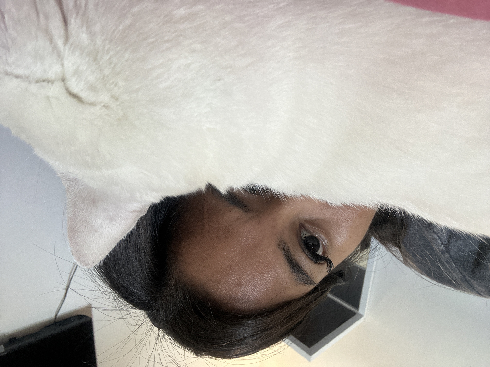 A close-up, eye-level shot shows a person's eye and forehead peeking from behind a fluffy white cat in Denpasar, Indonesia. The person's dark hair is visible, and they are wearing a gray top. The background is a light-colored wall with some shelving units. The lighting is bright and even, suggesting an indoor setting during the daytime.