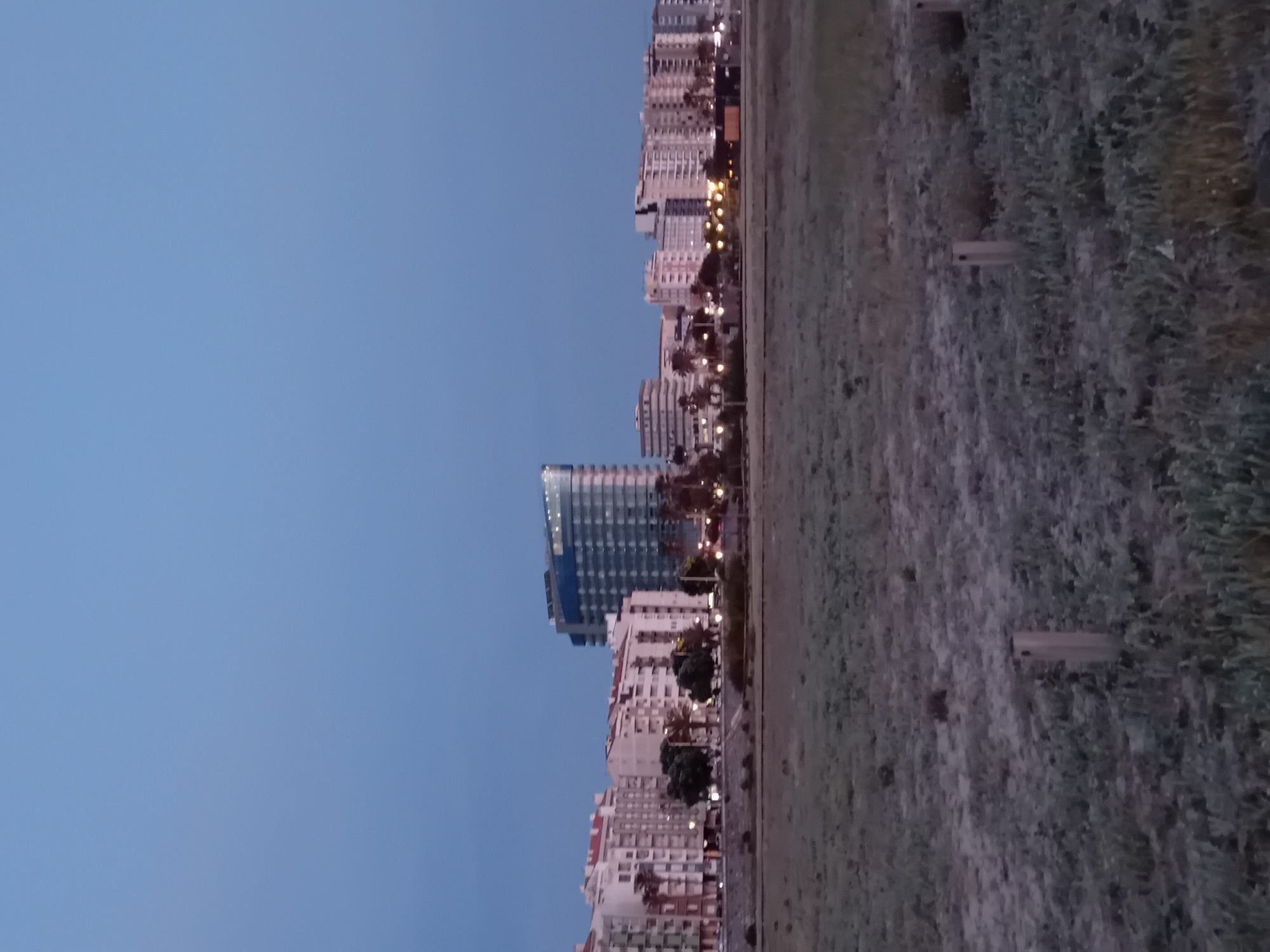 This is a landscape image captured at dusk or early evening, characterized by a clear, deep blue sky filling the left half of the frame. The scene depicts an urban waterfront or city promenade, with a line of buildings stretching horizontally across the middle of the image, separating the sky from a wide grassy or undeveloped area on the right.
The skyline consists of numerous multi-story buildings, appearing to be a mix of residential apartments and possibly hotels. One prominent, taller, and more modern building with many windows stands out among the others, exhibiting a bluish hue. Streetlights are illuminated along what appears to be a road or paved pathway running in front of these buildings, casting warm yellow light. Palm trees are visible interspersed among the buildings, suggesting a warm climate.
The right side of the image features a wide expanse of ground covered in sparse grass and weeds, with a few short, vertical posts or bollards scattered within it. No people are visible, and there is no explicit activity taking place, lending a quiet, serene atmosphere to the scene. No visible text is present in the image.