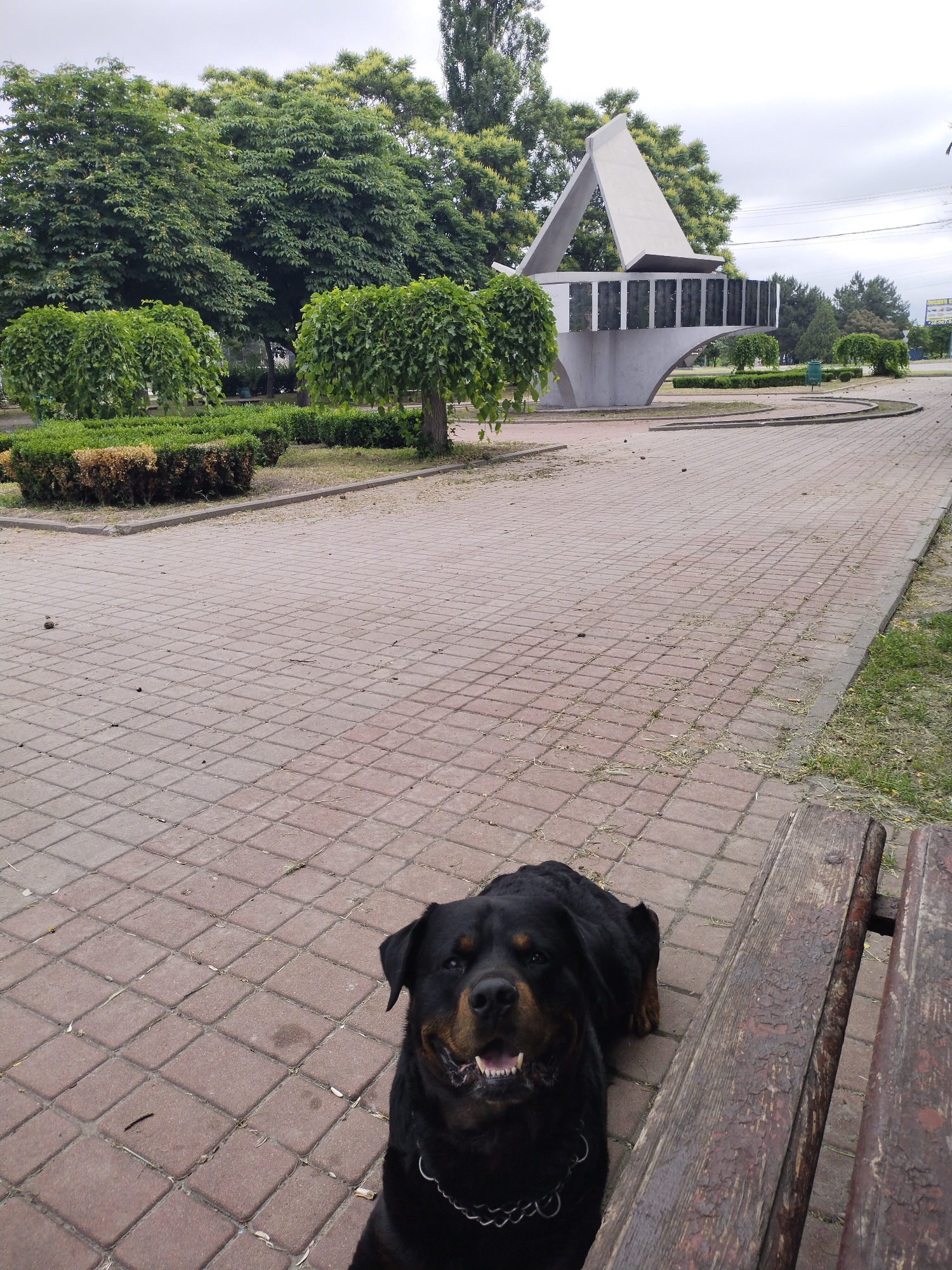 In the city of Horishni Plavni, Ukraine, a Rottweiler lies on a red brick walkway next to a weathered wooden bench. The dog is black and tan with a silver chain collar and appears to be panting. Behind the dog, a paved pathway curves around manicured bushes and trees. In the background, a large, abstract concrete monument with a triangular roof and vertical panels stands beneath a cloudy sky. The environment suggests a public park or plaza.