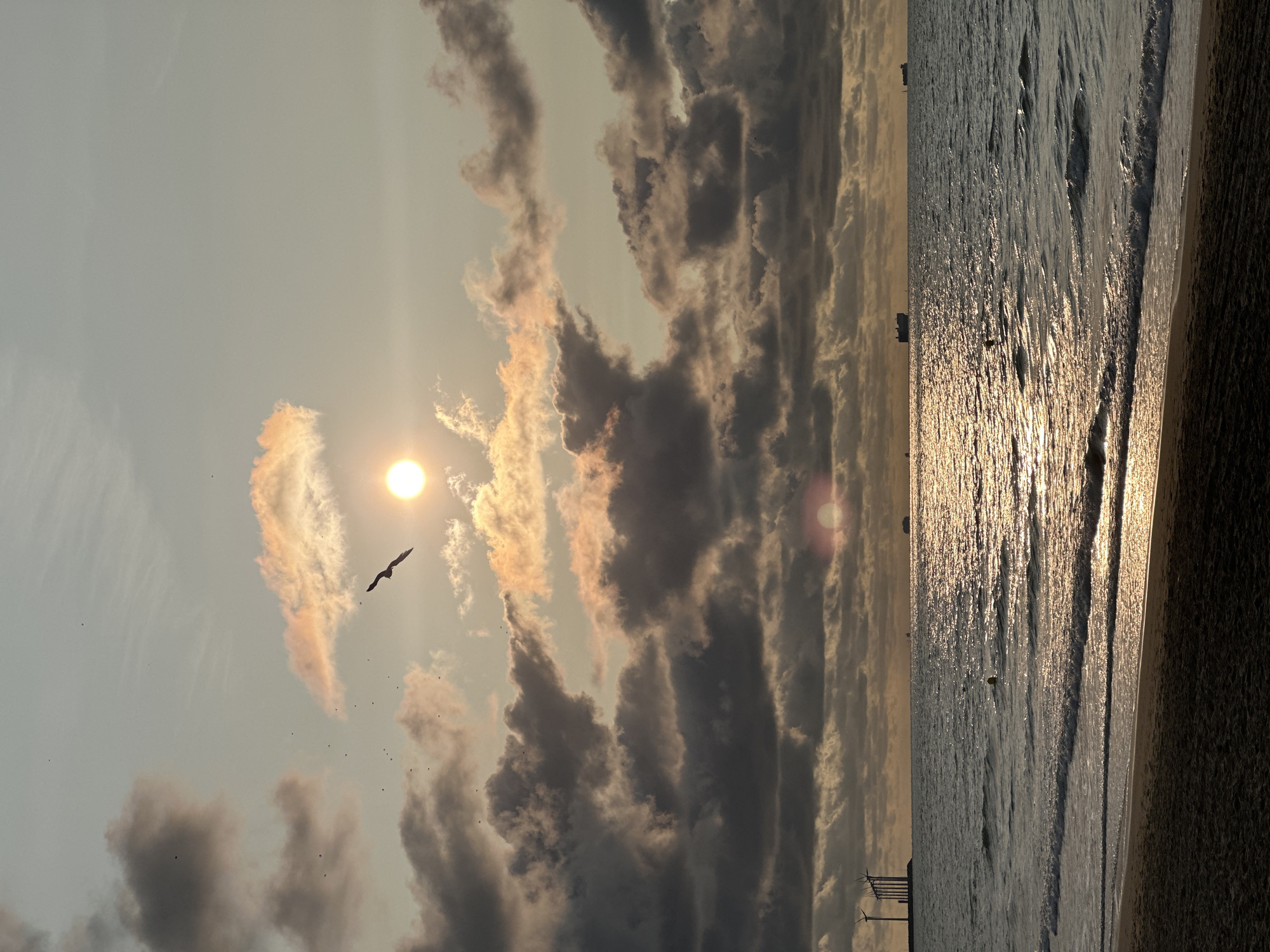 This is a vertical, eye-level, medium shot of a beach scene at Knokke-Heist, Belgium, during sunset. The sun is partially obscured by clouds, casting a golden light on the water and sky. In the foreground, a sandy beach meets the gentle waves of the ocean. The middle ground shows the sea with several boats on the horizon, and in the distance, a cluster of wind turbines stands tall against the cloudy sky. A seagull is captured mid-flight in the upper portion of the frame.