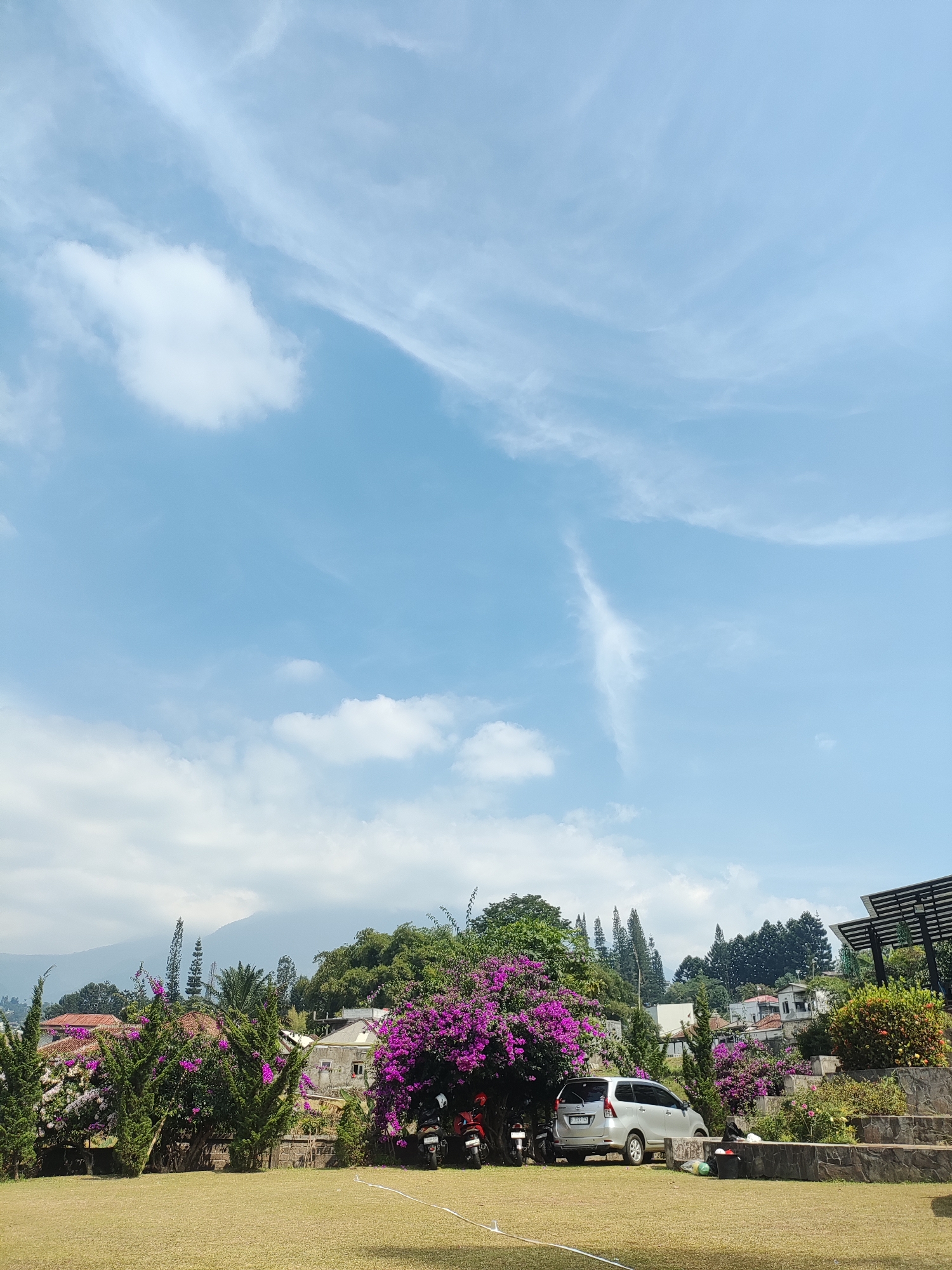 The image depicts a bright, sunny day in a semi-rural setting. The sky is a vibrant blue with wispy white clouds, some appearing thin and streaky, others like fluffy cotton balls. In the foreground, a well-maintained grassy lawn stretches out, marked by a faint white line or cord across its surface. Beyond the lawn, a variety of green foliage and blooming purple bougainvillea create a colorful border. Several motorcycles are parked near the vibrant purple flowers, and a silver car is parked on a paved area next to the plants. In the middle ground, there are buildings with tiled roofs, suggesting a residential or resort area, and numerous trees of various heights and types, including tall, slender pines. In the background, a mountain range is visible, partially obscured by trees and clouds, hinting at a hilly or mountainous terrain. The overall impression is one of a peaceful, scenic location, likely a vacation spot or a home in a mountainous region outside a major city. The scene is located in Cisarua, Indonesia, a popular hill station known for its natural beauty and cooler climate.