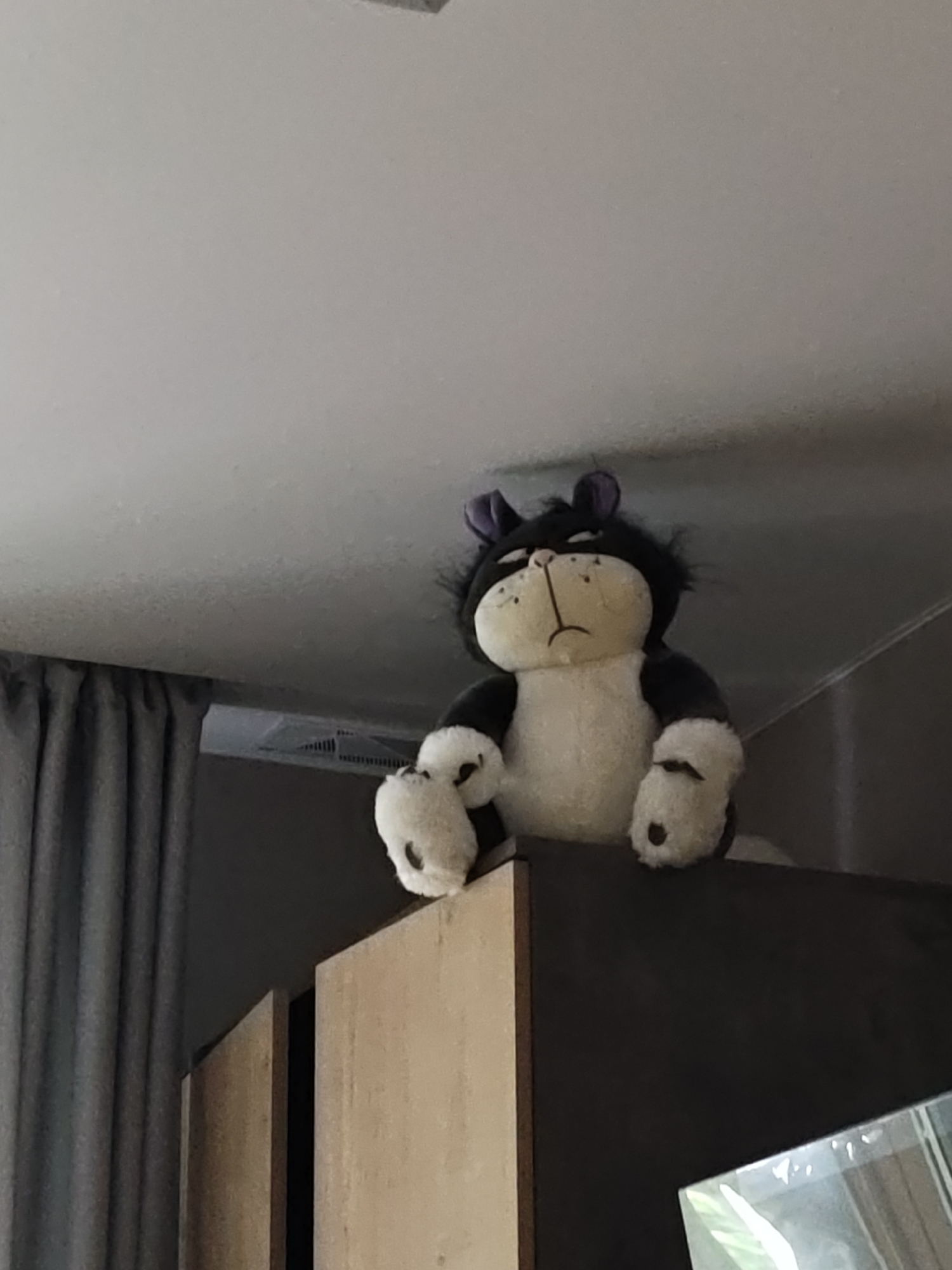 A black and white stuffed animal, resembling a grumpy cat or creature, is prominently featured, perched on top of a dark wooden cabinet or shelf. The plush toy has a white belly, muzzle, and paws, contrasting with its black body and shaggy head fur. It has purple inner ears and a distinct sullen or downturned expression on its face.
The stuffed animal is positioned in the upper right portion of the image, looking downwards and slightly to the left. To the left, dark grey curtains hang, partially obscuring a white air vent or register visible between the curtain and the ceiling. The ceiling itself is white and takes up a significant portion of the upper frame. The cabinet beneath the toy has a light brown top surface with dark sides. A reflective surface, possibly glass from a picture frame or another object, is visible in the bottom right corner, partially covering the cabinet. The lighting suggests an indoor daytime setting with soft, ambient light. No specific activity is taking place; it's a static scene of the plush toy as a decorative item in what appears to be a home interior. There is no visible text.