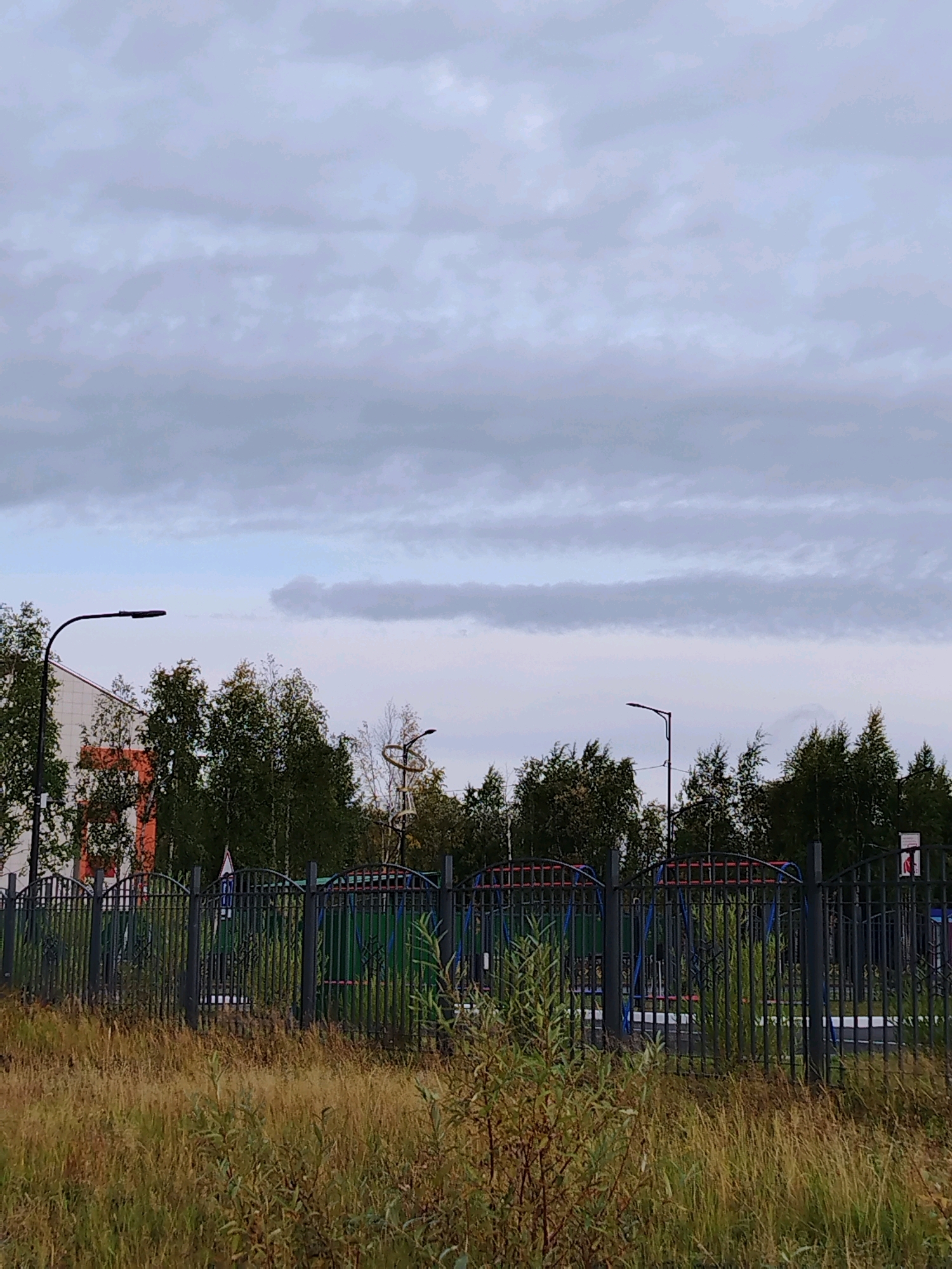 The image depicts an outdoor scene in Muravlenko, Russia, likely a public space or park. The foreground is dominated by tall, dry grass and scattered green bushes. A dark metal fence with vertical bars and arched tops runs across the middle of the frame, separating the grassy area from a playground.
Beyond the fence, the playground features colorful equipment, including blue and red structures, possibly swings or slides, and green panels. Several tall, dark lampposts are visible, one on the left with a curved arm and a prominent street light, and another further to the right with a more intricate design that includes a circular element.
In the background, a modern building with a white facade and orange accents is partially visible on the left. A dense line of trees, primarily birch trees with characteristic white bark and green foliage, forms a natural backdrop behind the playground and the lampposts. The sky is overcast with heavy, gray clouds, suggesting a diffused light and potentially cooler weather. No people are present in the image. The overall impression is that of an urban or suburban park area on a cloudy day.