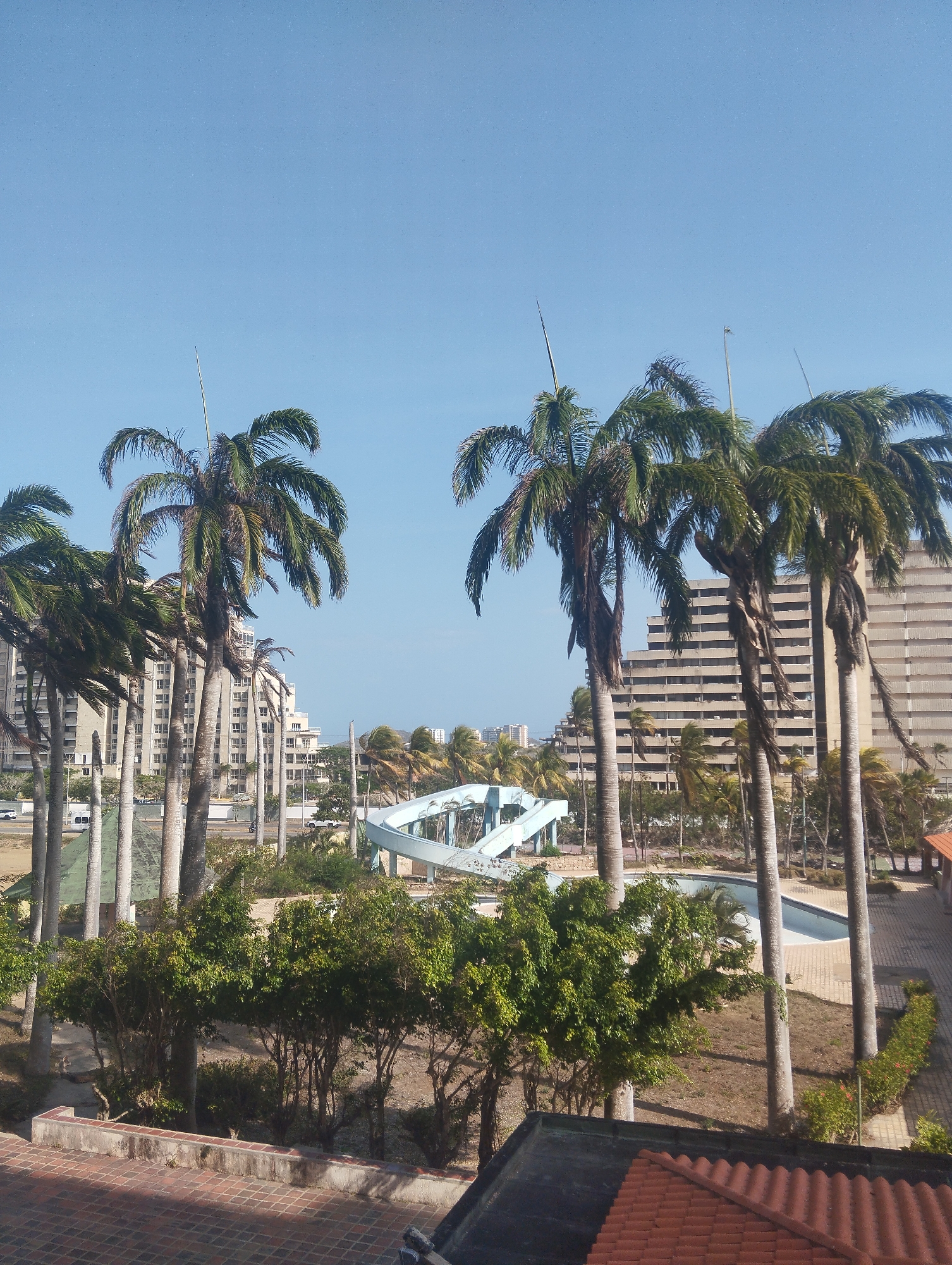 The image shows a cityscape scene with palm trees in the foreground. In the background, there are several tall, multi-story buildings. The sky is clear and blue. Visible is a water slide in a park-like area. In the foreground, there are bushes and a red tiled roof. The location is Porlamar, Venezuela.