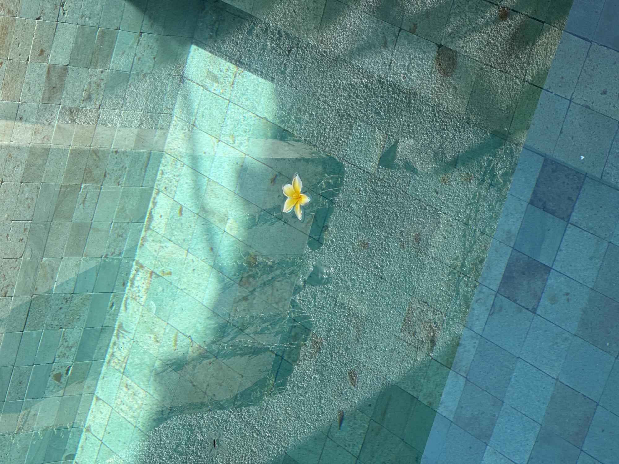The image shows a view of a pool in Kuta Selatan, Indonesia, with turquoise water and light refracting off the tiled bottom. A single, yellow and white plumeria flower floats on the surface of the water. The pool is surrounded by light-colored tiles, creating a pattern of lines and squares. The water appears calm with slight ripples. Sunlight creates shadows and highlights on the bottom of the pool, accentuating the texture of the tiles and the water.