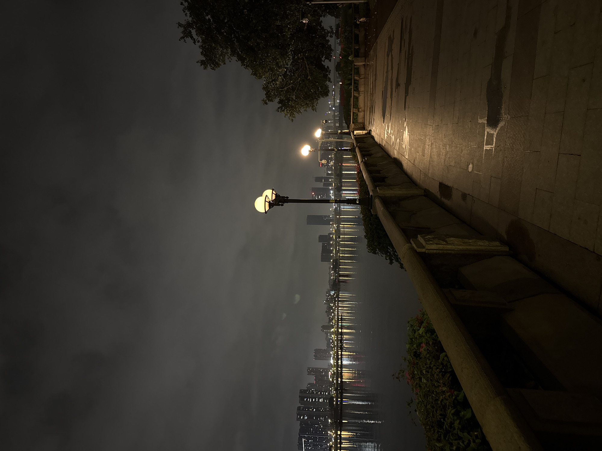 The image depicts a nighttime scene along a waterfront promenade in Haizhu District, China. A dark, cloudy sky looms overhead, reflecting faint light from the distant city. A calm body of water borders the promenade, with a silhouetted cityscape of tall buildings and illuminated windows visible across the water. The promenade itself is paved with stone tiles, showing the wetness and reflections of scattered puddles, suggesting recent rain. Several ornate lampposts, emitting a warm yellow glow, line the pathway, illuminating the scene. To the right, a large tree with dense foliage stands prominently, and a security camera is mounted on its trunk. A low, textured concrete wall separates the promenade from the water. Lush green bushes and some flowering plants are visible along the edge of the promenade near the water. The overall atmosphere is serene and somewhat melancholic, illuminated by the artificial lights of the city and the promenade's lamps.