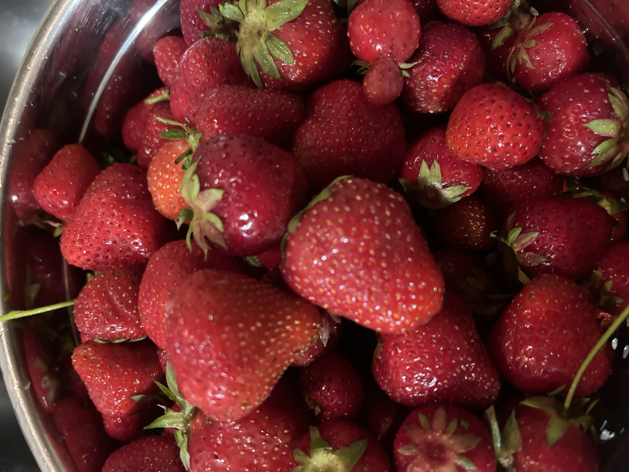 The image captures a close-up, overhead view of a large collection of fresh, ripe red strawberries. They are contained within a shiny, metallic colander or bowl, the rim of which is visible on the left and top edges of the frame. Many of the strawberries retain their vibrant green caps and stems, suggesting they are freshly picked. Small water droplets are visible on the surface of several berries, indicating they may have been recently washed or are very fresh. The strawberries vary slightly in shade, from a bright red to a deeper, more crimson hue, and their characteristic seeded texture is clearly visible. The lighting appears even, highlighting the natural luster and freshness of the fruit. No specific activity is depicted beyond the presentation of the berries. There is no visible text, and the time of day or specific location cues beyond the provided "Tarnivtsi, Ukraine" context are not discernible from the image itself. The overall impression is one of abundant, ready-to-eat produce, likely harvested locally in Tarnivtsi, Ukraine.