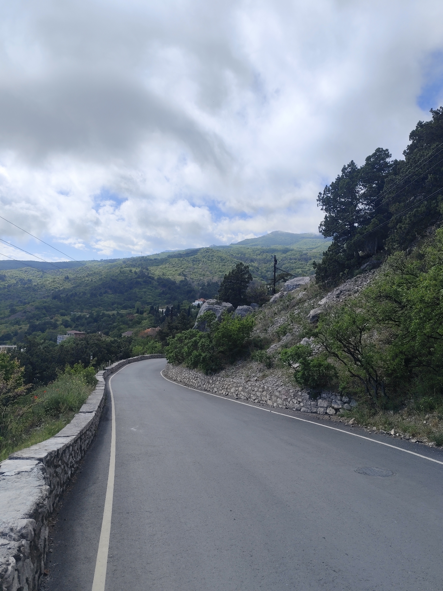 The image shows a winding asphalt road in a mountainous region, likely a rural or semi-rural area. The road curves through a landscape with dense green vegetation on the surrounding hillsides and in the valley below. A low stone wall lines the edge of the road on one side, separating it from the lower terrain. Above the road, the hillside is covered with a mix of trees, shrubs, and exposed rocks. In the distance, there are higher mountains with a heavy cloud cover overhead. Electrical lines run along the edge of the trees on the right side of the image.