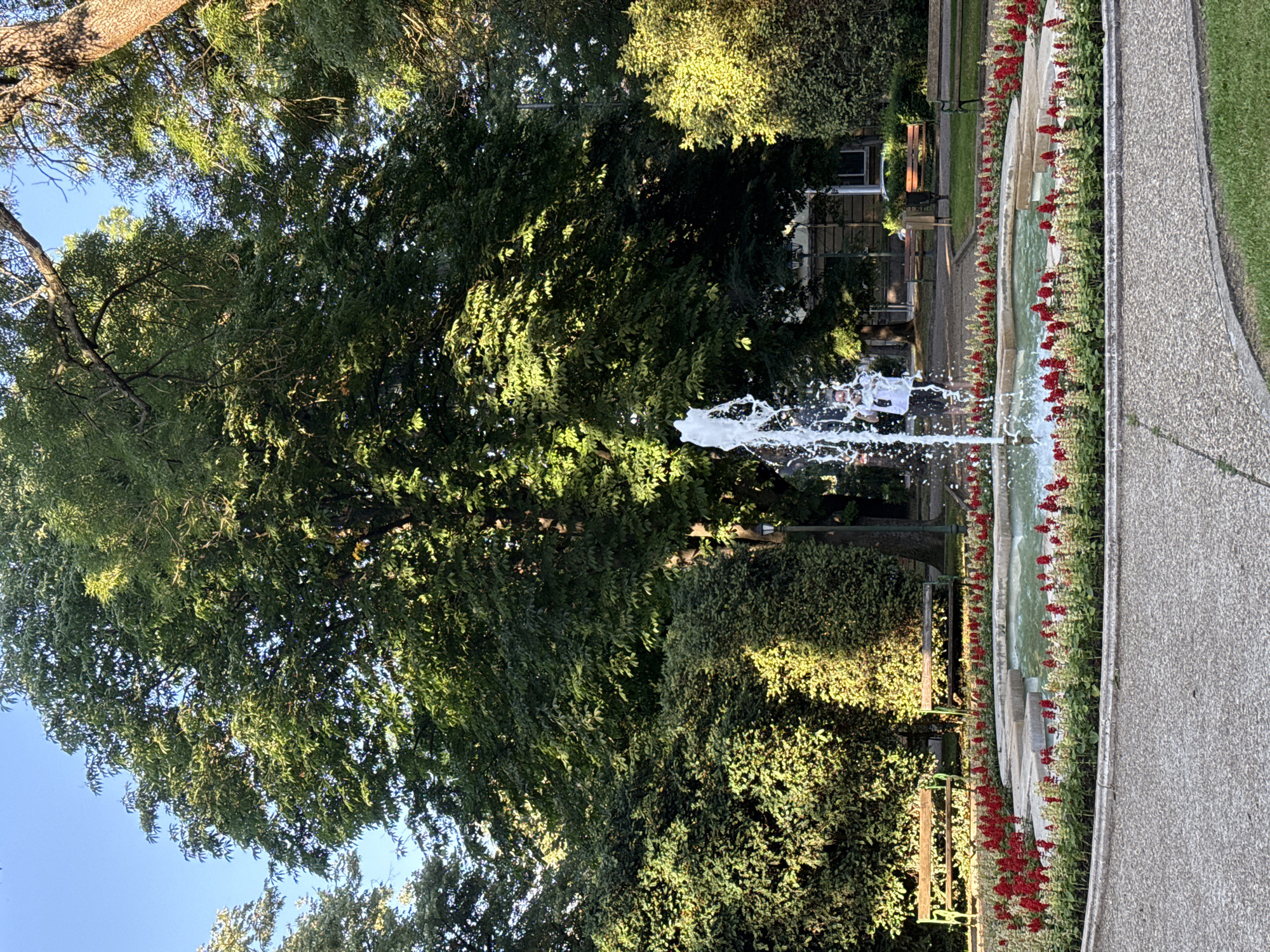 This is a medium shot of a park scene with a fountain, flowers, trees, and a pathway. A fountain is spraying water in the center of the image, creating a dynamic effect. Red flowers are planted in a long, curved bed alongside the fountain, bordered by green foliage. To the right of the flower bed is a gravel pathway. Large, leafy trees dominate the background on the left, with sunlight filtering through their branches, suggesting a bright, possibly late afternoon or early morning time of day. The overall scene appears serene and well-maintained, characteristic of a public park. There is no visible text in the image. The context suggests this scene is located in Dobrich, Bulgaria.
