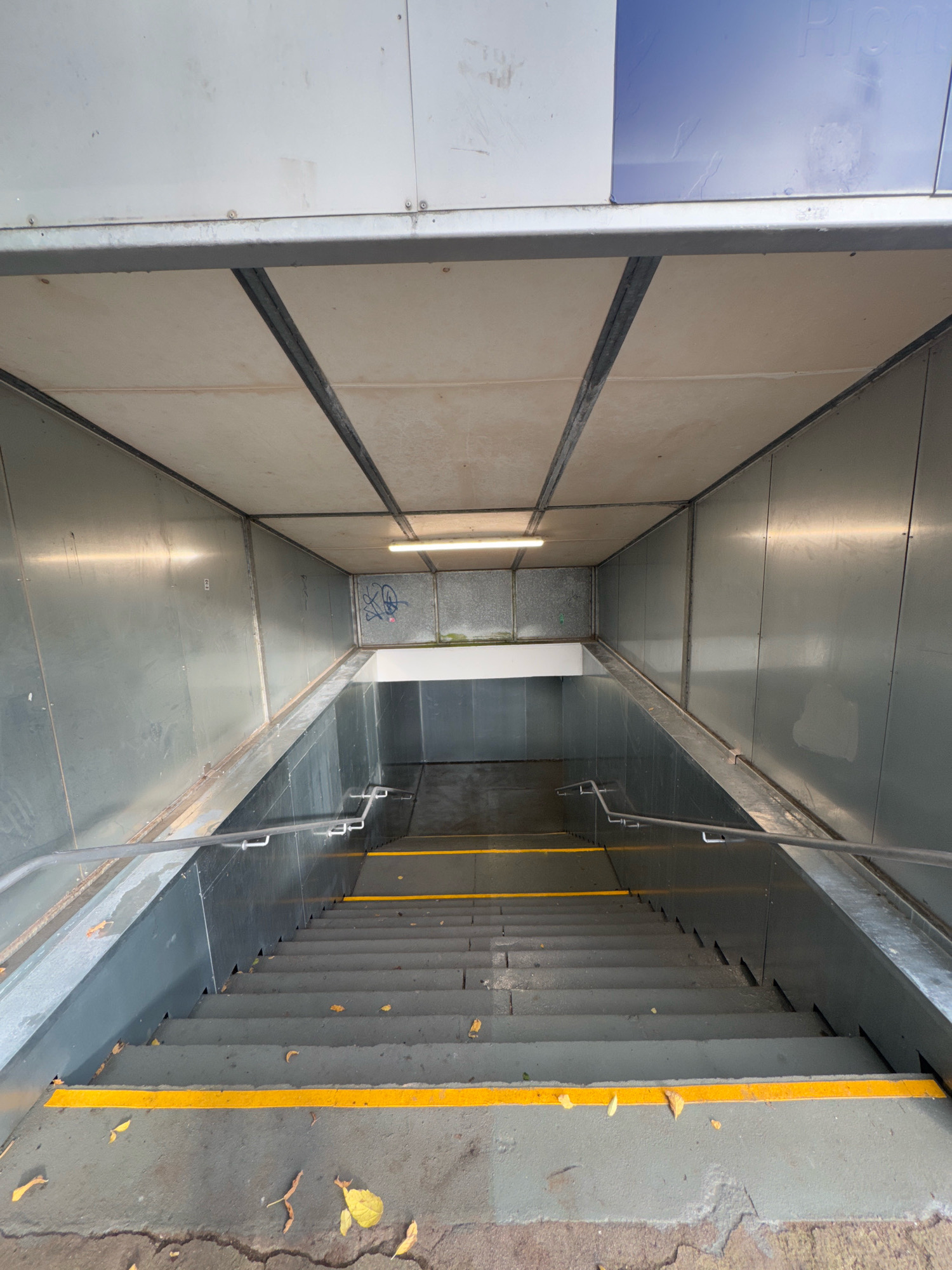 The image shows the entrance to a subway station in Rees, Germany. A set of concrete stairs descends into the station, marked with yellow safety stripes on the edges of the steps. Metal handrails line both sides of the stairs. The walls and ceiling of the entranceway are constructed of metal panels, with a fluorescent light fixture illuminating the passage. Graffiti is visible on the upper portion of the left wall. Scattered autumn leaves are present on the stairs and the ground at the entrance.