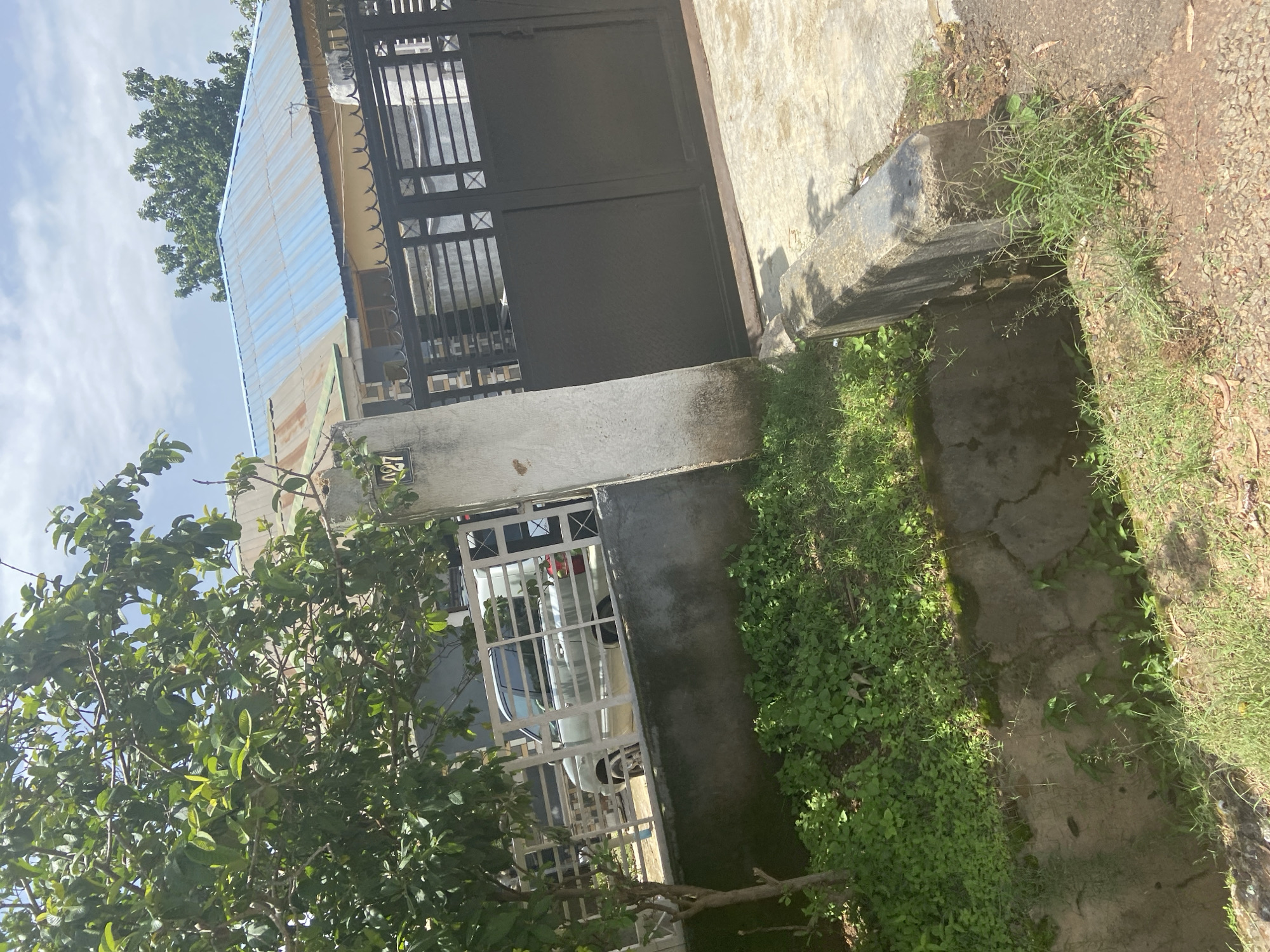 The image depicts an outdoor scene in Jos, Nigeria, likely during the daytime given the bright sunlight and clear sky. The setting appears to be a residential property, characterized by a house with a corrugated metal roof and a dark metal gate. In front of the house, there is a white car visible through a metal fence, suggesting it is parked within the property.
The foreground is dominated by a lush green tree with dense foliage, obscuring parts of the house and the sky. To the right of the house and gate, there is a pathway or driveway made of concrete, bordered by patches of green grass and weeds. Some of the concrete appears cracked and worn. A low concrete structure, possibly a boundary wall or a planter, is also visible.
The overall impression is one of a well-established property with signs of nature encroaching, particularly with the overgrowth of greenery. The image is taken from a slightly elevated perspective, looking down and across the scene. There is no clear indication of any people or specific activity taking place. The lighting suggests it's a sunny day, and the environment appears to be a typical residential area. A small, dark emblem or sign is partially visible on the wall of the house near the top right of the image, but it is too indistinct to read any text.