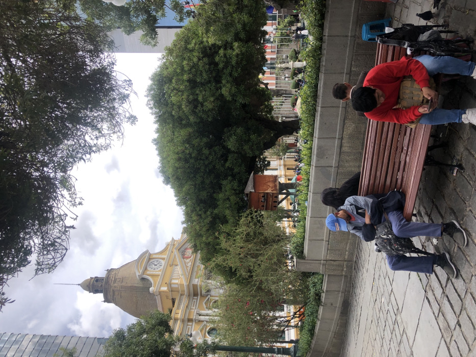A cityscape features a yellow church with a tall steeple, partially obscured by trees. People are relaxing on park benches; one person is engrossed in their phone. The scene is framed by lush greenery with a cloudy sky overhead. A multi-level birdhouse can be spotted next to the pathway in the park.