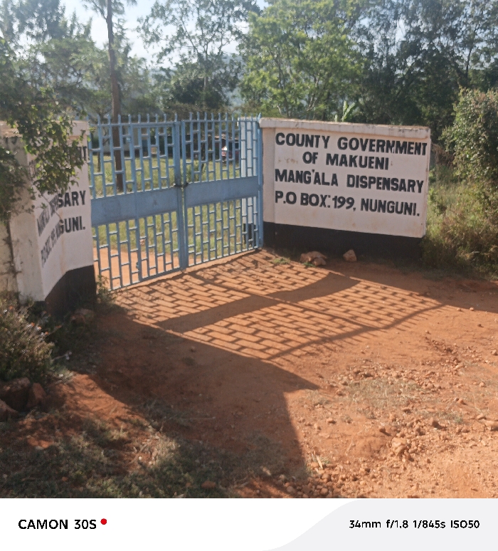 The image depicts the main entrance to the Mang'ala Dispensary, located in Nunguni, within the city of Kasunguni, Makueni County, Kenya. A light blue, double-leaf metal gate, slightly ajar, stands centered between two low concrete pillars or walls. The right-hand pillar features a white rectangular sign with black block lettering that reads: "COUNTY GOVERNMENT OF MAKUENI MANG'ALA DISPENSARY P.O BOX: 199, NUNGUNI." The left-hand pillar displays a partial white sign with black text, vertically oriented, where "SARY" and "KASUNGUNI" are legible. The ground immediately in front of and beyond the gate is composed of red-brown dirt and small rocks, exhibiting distinct block-like shadow patterns cast by the gate, consistent with direct sunlight. Sparse green vegetation is visible on the ground margins. The background features dense green trees and foliage, suggesting a rural or semi-urban environment. No individuals are clearly discernible within the frame.