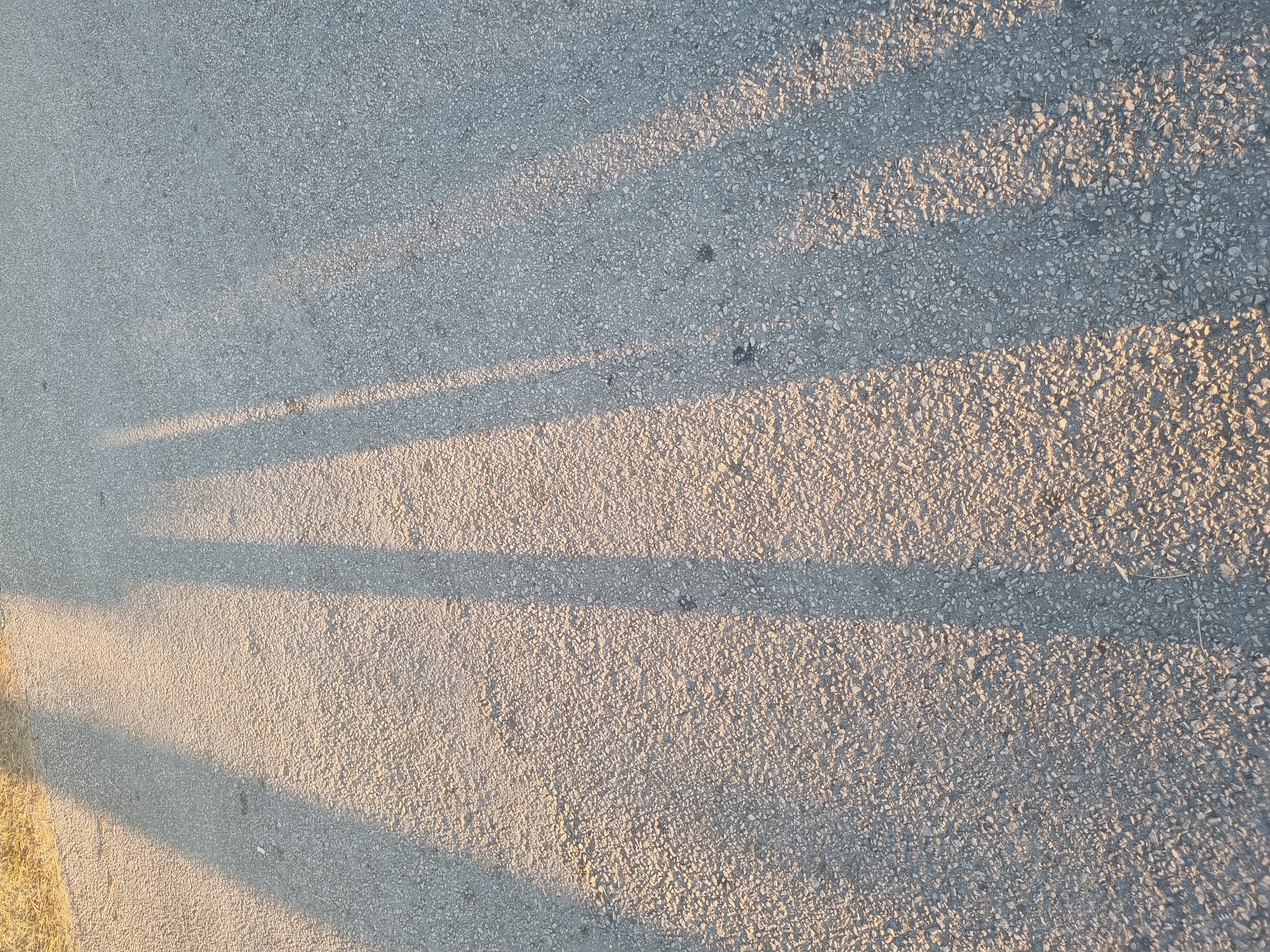 The image shows the shadows of at least two people cast on an asphalt surface, likely a road or sidewalk, in Bar, Montenegro. The low angle of the shadows and the warm light suggest it is either early morning or late afternoon. The asphalt is textured with small stones and pebbles. In the upper left corner, a patch of dry grass is visible. The scene is devoid of any specific identifying landmarks of Bar.
