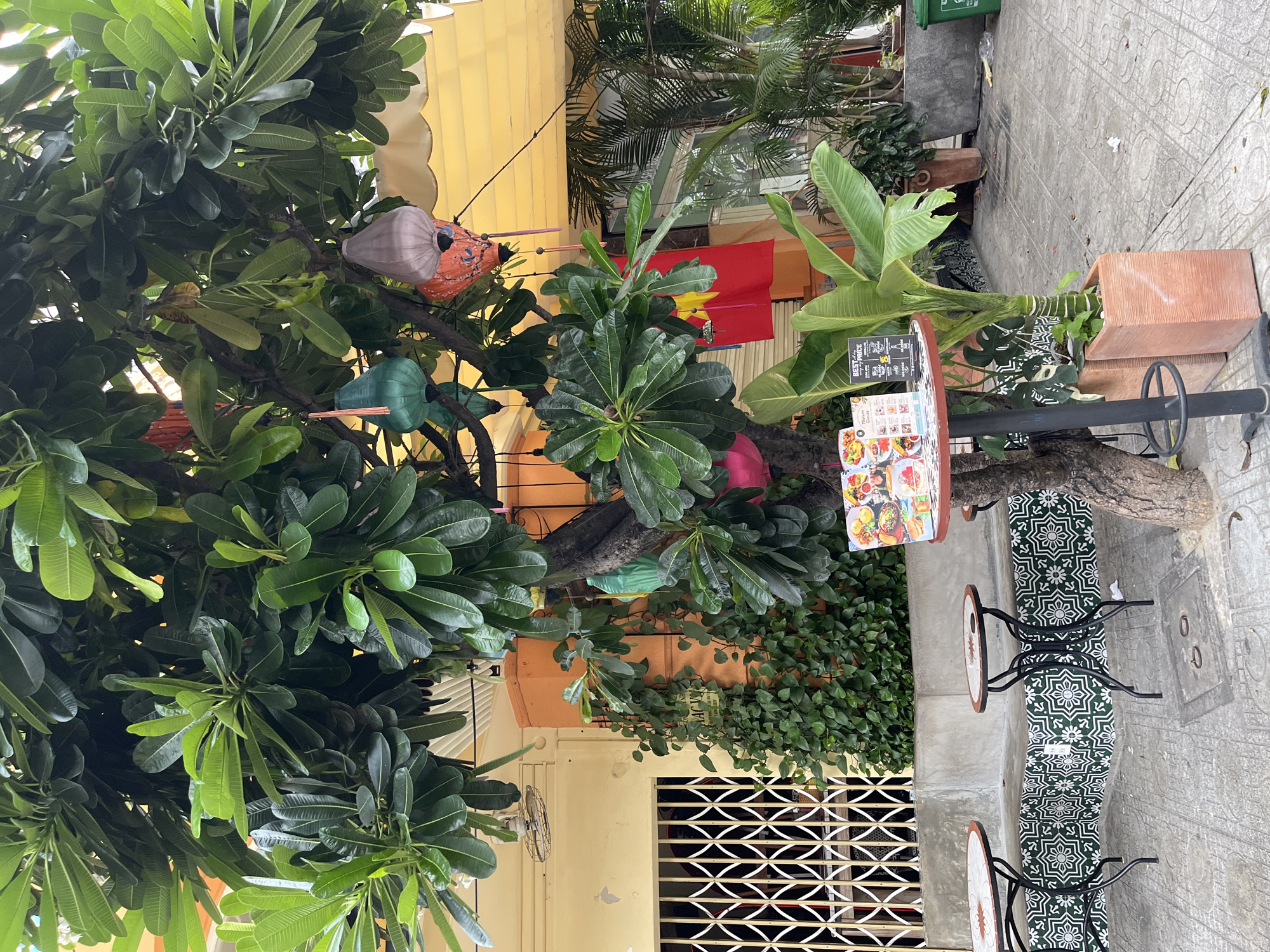 The image shows an outdoor seating area of a restaurant in Nha Trang, Vietnam. A large tree with lush green leaves is central to the scene, with several colorful lanterns hanging from its branches. These lanterns are decorative and appear to be made of fabric, in colors such as green, purple, and orange. In front of the tree, a small round table displays a menu with colorful food images. The table has a dark base and legs, and a brown rim around its top. Next to this table, a potted banana plant with large, green leaves stands in a terracotta-colored planter.
In the background, an orange building with yellow awnings is visible, suggesting it's the establishment associated with the outdoor seating. A metal grate covers a window on the left side of the building. There is also a red flag with a yellow star, which is the Vietnamese flag, partially visible behind the tree. The ground is paved with square tiles. Two small, round tables with similar decorative tops and black metal bases are set up on the tiled area. A low, concrete bench with patterned green and white tiles on its facade runs along the wall behind the tables. Lush green ivy covers a section of the wall.
There are no people visible in the image. The overall impression is of a vibrant and welcoming outdoor dining space, likely in a tropical setting given the presence of the palm trees and the lush vegetation. The scene suggests a pleasant atmosphere for patrons to enjoy a meal or drinks.