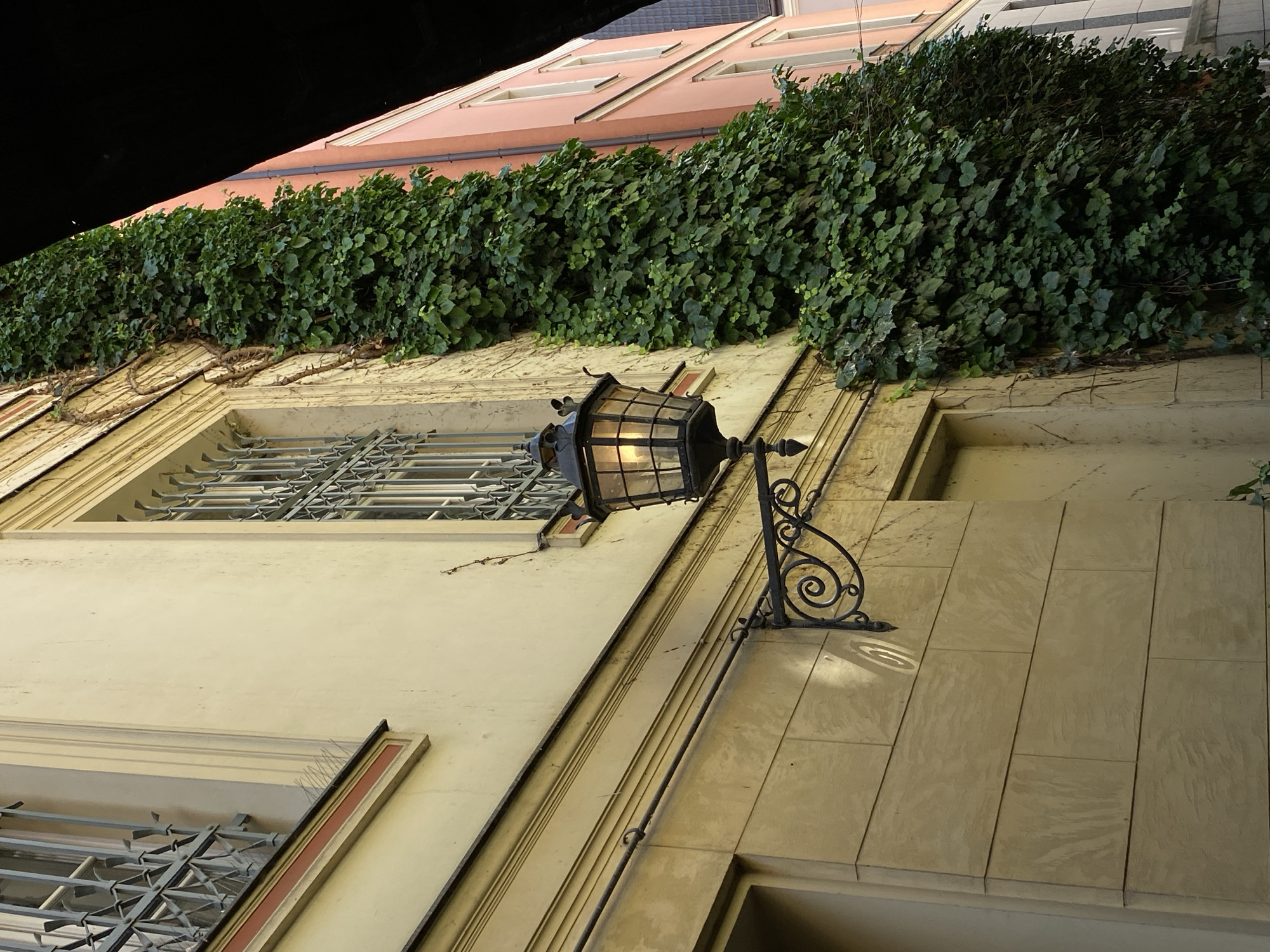 The image depicts an urban architectural scene in Wrocław, Poland, specifically located on Ulica Kurzy Targ, near Plac Solny. The left side of the frame features a multi-story building with a light cream-colored facade, likely stucco or painted. The upper section displays a window with intricate, dark metal grilles, and below it, a horizontal decorative molding is fitted with small, spiky bird deterrents. The lower portion of this building's facade consists of light brown, rectangular stone blocks arranged in horizontal courses, exhibiting a textured surface. A black, ornate wall-mounted lantern, with a glowing light source visible inside its glass panes, is attached to the cream facade by a decorative, scrolled wrought-iron bracket.
A dense, dark green ivy vine covers a significant vertical strip of the cream-colored building, separating it from the adjacent structure on the right. This adjacent building presents a vibrant salmon-pink facade with visible windows. In the upper right corner of the image, a dark, angular overhang or structure is partially visible, creating a shadowed area. No people, animals, or explicit actions are depicted in the scene.