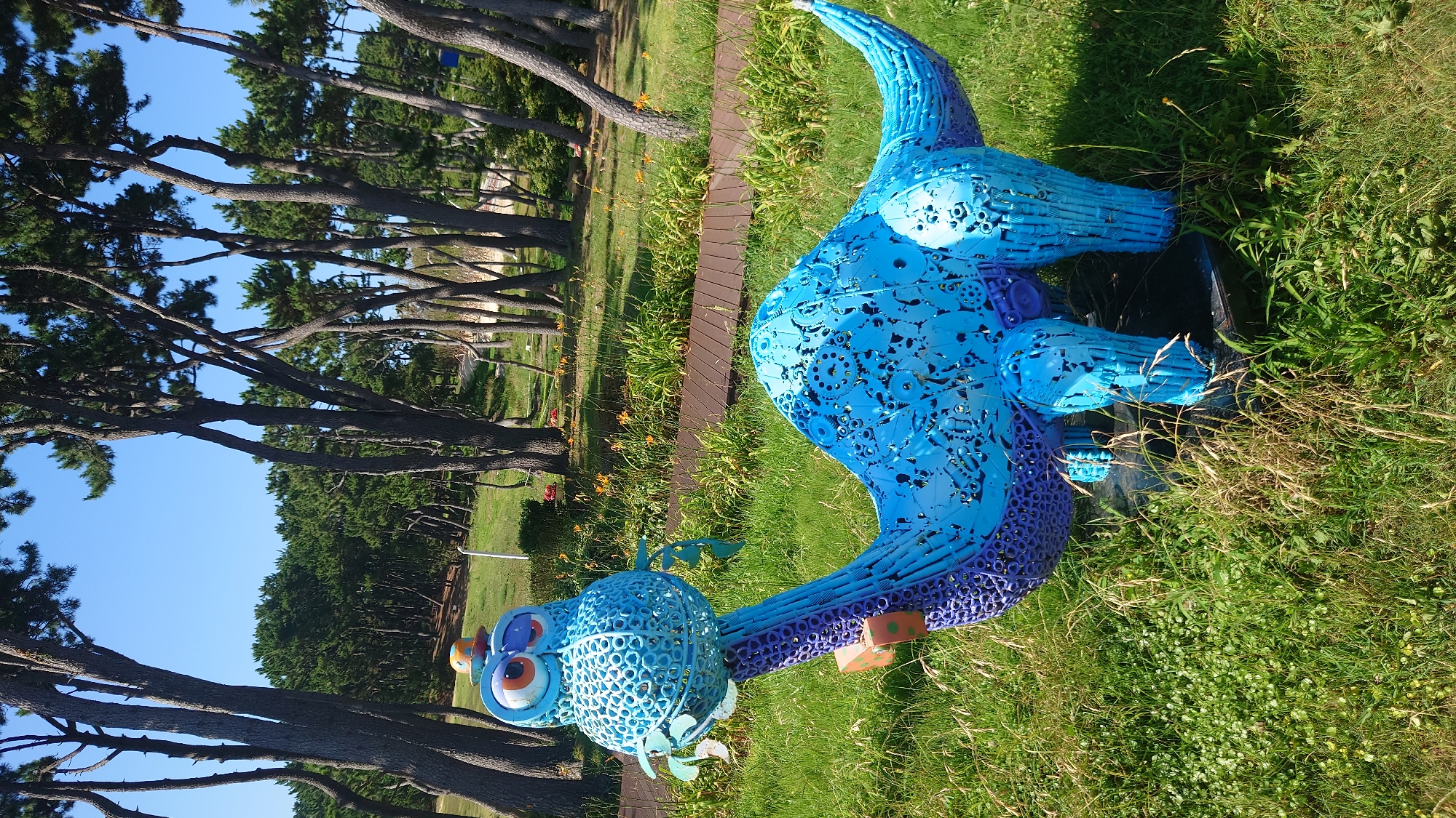 An outdoor sculpture of a blue dinosaur-like creature is situated on a grassy lawn under a clear blue sky. The sculpture is made of what appears to be recycled metal, with many small, circular pieces forming its body and limbs. It has a long neck and tail, a round body, and a head with large, orange and black eyes and a small orange hat. The dinosaur is the main subject, positioned centrally in the frame. Behind the sculpture, a wooden pathway winds through a landscape dotted with tall, slender trees with dark bark and green foliage. The ground is covered in green grass and some sparse, dry weeds. The overall environment suggests a park or a garden area in a city, likely Ulsan, South Korea, given the distinctive pine trees often found in coastal regions of the country. No people are present in the image.