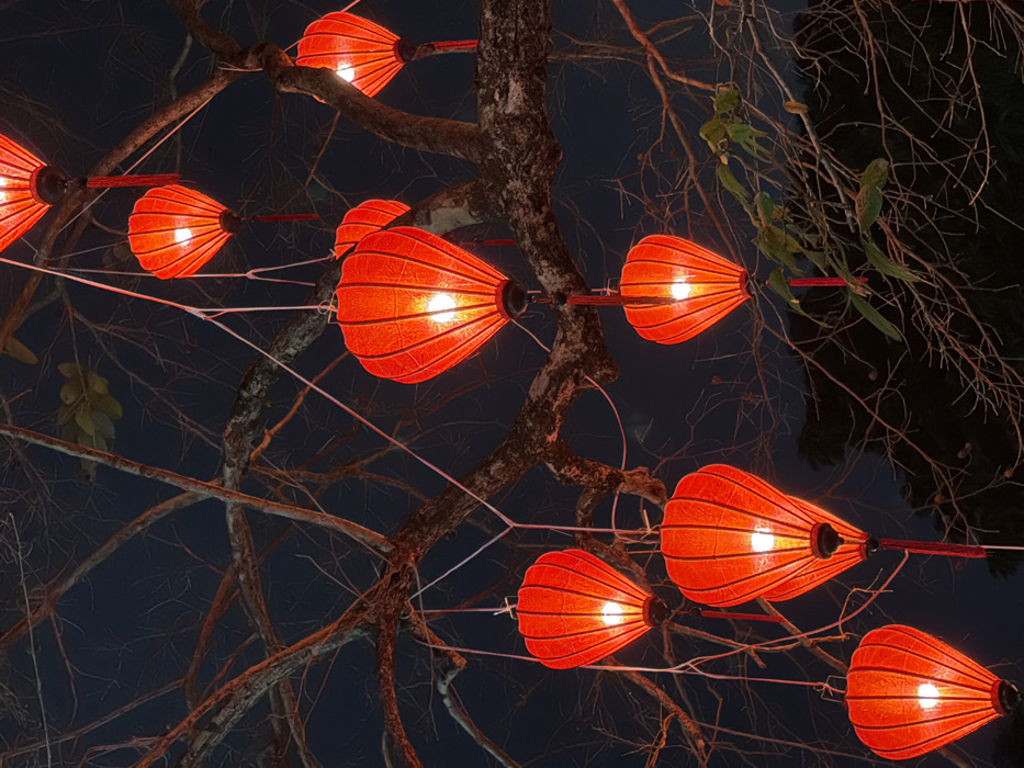 The image displays an array of illuminated red lanterns suspended from the bare, gnarled branches of a large tree at night, located in the city of Hà Nội, Vietnam. A total of twelve lanterns are visible. The lanterns are primarily teardrop or elongated octagonal in shape, made of a textured, ribbed red material, and emit a warm yellow-orange light from internal sources. Several lanterns feature decorative red tassels extending from their bases. They are affixed to the tree branches by thin white strings or wires. The tree's branches are largely devoid of foliage, though a few clusters of dark green leaves are visible in the upper right and lower right sections. The background is a uniform dark blue-black sky. No people, specific actions, or interactions are present in the scene.