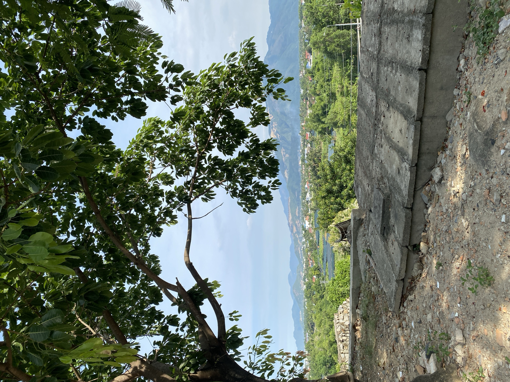 The image depicts an outdoor scene with a tree in the foreground, its branches and lush green leaves framing the view. In the middle ground, there is a landscape with green trees, rural buildings, and what appears to be agricultural fields. In the background, a range of mountains under a partly cloudy sky forms the horizon. The foreground also shows a stone wall and some concrete structures, suggesting a partially developed or historical site. The location is identified as Tay Nha Trang Ward, Vietnam.
