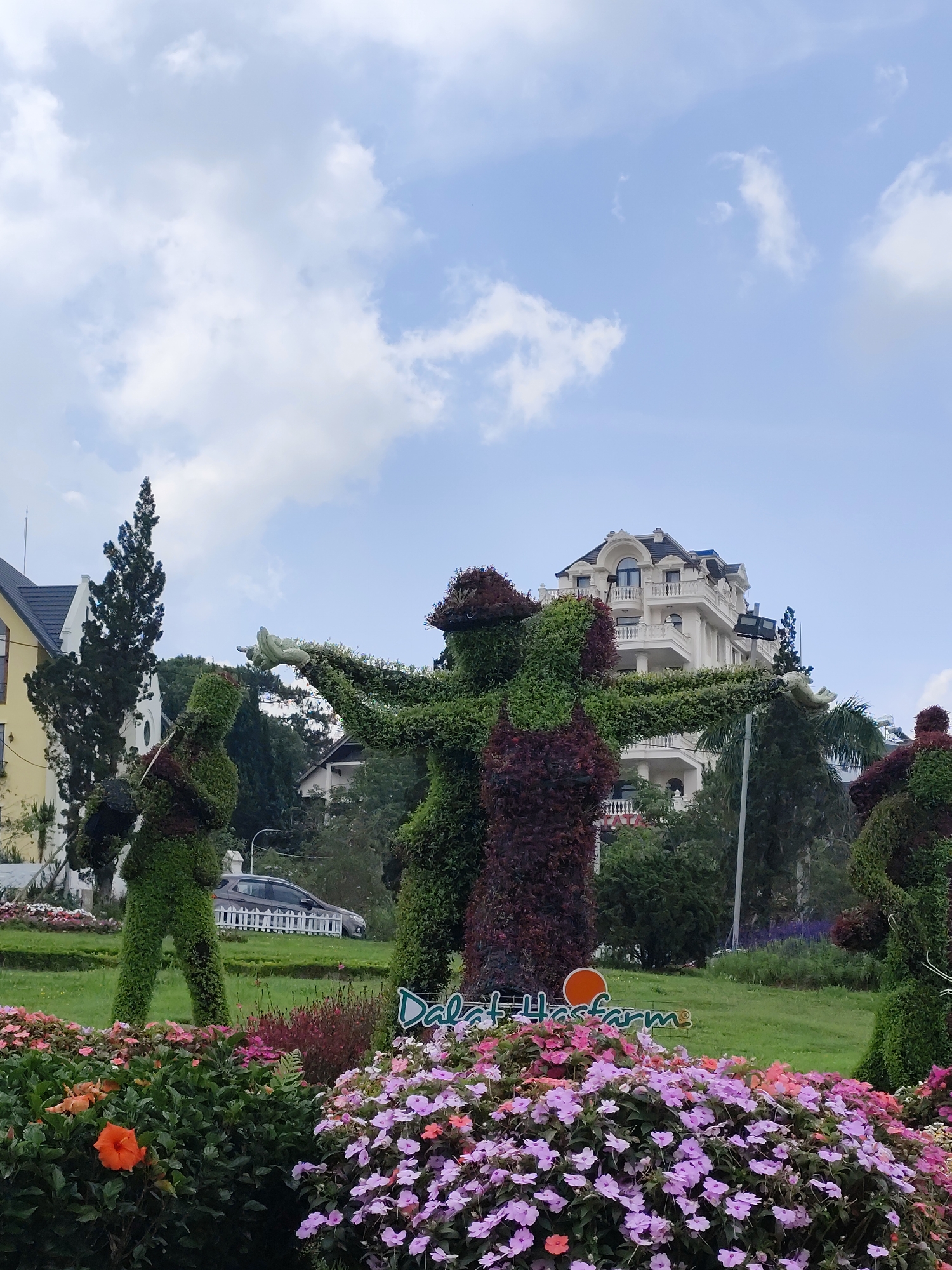 This vibrant outdoor scene captures a garden display featuring intricate topiary figures under a bright, partly cloudy sky in Da Lat, Vietnam.
In the foreground, a profusion of colorful flowers, predominantly purple, pink, and orange blooms, forms a lush bed across the bottom of the frame. Behind this floral display, three large topiary figures are visible. The leftmost figure, sculpted from green foliage, appears to be standing with an object in its left hand, possibly a basket or pot. The central and most prominent figure is a blend of green and reddish-maroon foliage, depicted with outstretched arms, as if welcoming or dancing. Part of a third, similar topiary figure can be seen on the far right.
The midground consists of neatly manicured green lawns. A white picket fence is partially visible behind the leftmost topiary, with a dark gray car parked behind it. Tall, dark green conifer trees are scattered throughout the background, adding depth to the landscape.
In the background, several buildings with distinct architectural styles are visible. To the left, a yellow building with a dark roof stands next to a tall, slender tree. The most prominent building in the upper right is a grand, multi-story white structure featuring classical elements like columns, balconies, and intricate trim, suggesting a stately residence or hotel.
A sign with the text "Dalat Hasfarm" is prominently displayed in front of the central topiary figure, near the bottom center of the image. The lighting indicates a clear day, likely late morning or early afternoon, with soft shadows suggesting ample sunlight. The overall impression is one of a meticulously maintained and picturesque garden or park.