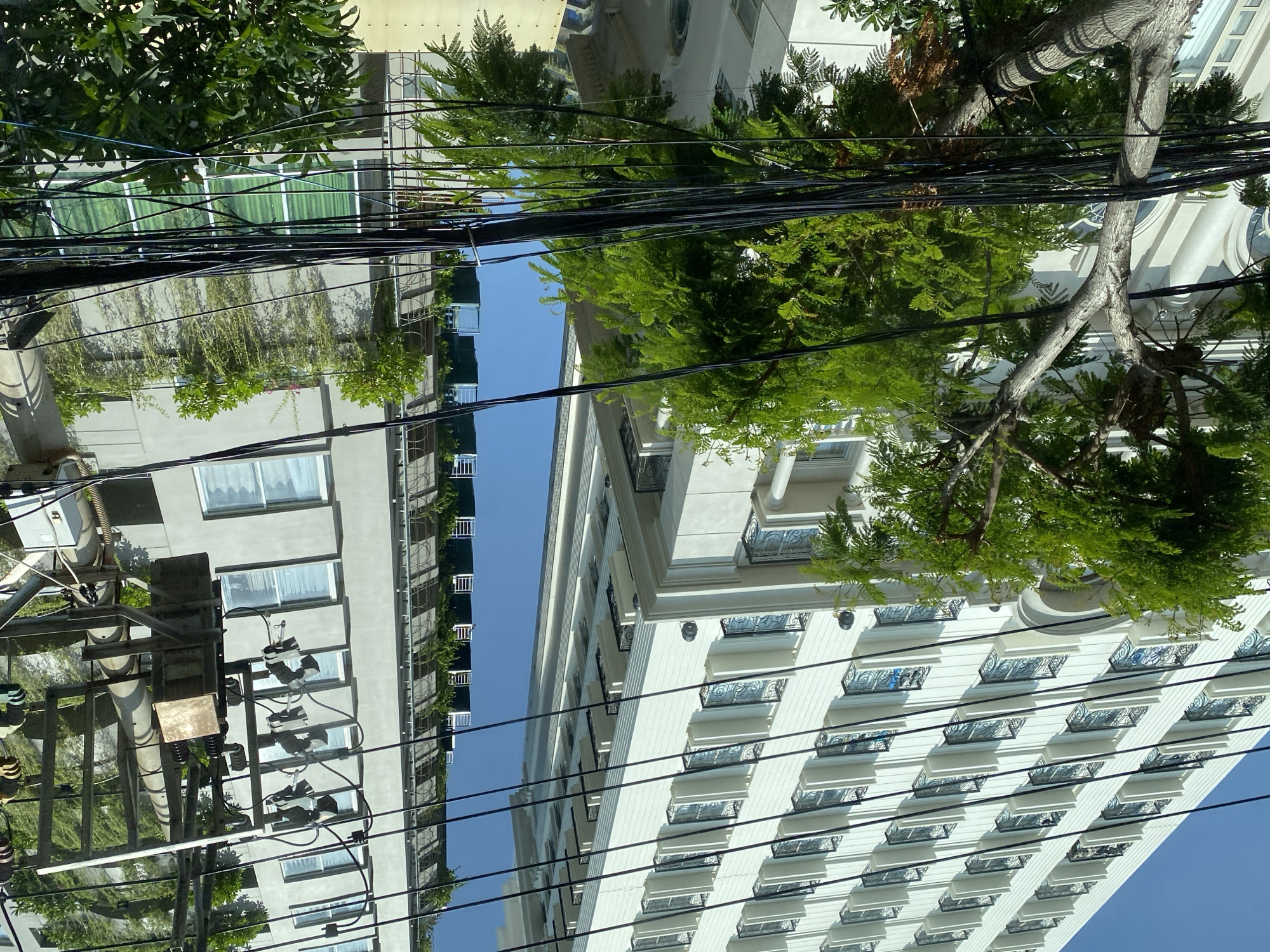This image depicts a street view in Nha Trang Ward, Vietnam, focusing on two tall buildings. The building on the left is a white high-rise with numerous balconies featuring ornate black railings. The building on the right is a grey high-rise with a more minimalist design, featuring balconies with white railings and abundant hanging greenery. A dense network of black electrical wires crisscrosses the foreground, obscuring parts of the buildings and a prominent tree with green foliage on the left side of the frame. A utility pole with electrical equipment is also visible on the right. The sky is a clear, bright blue. There are no people or animals visible in the image.