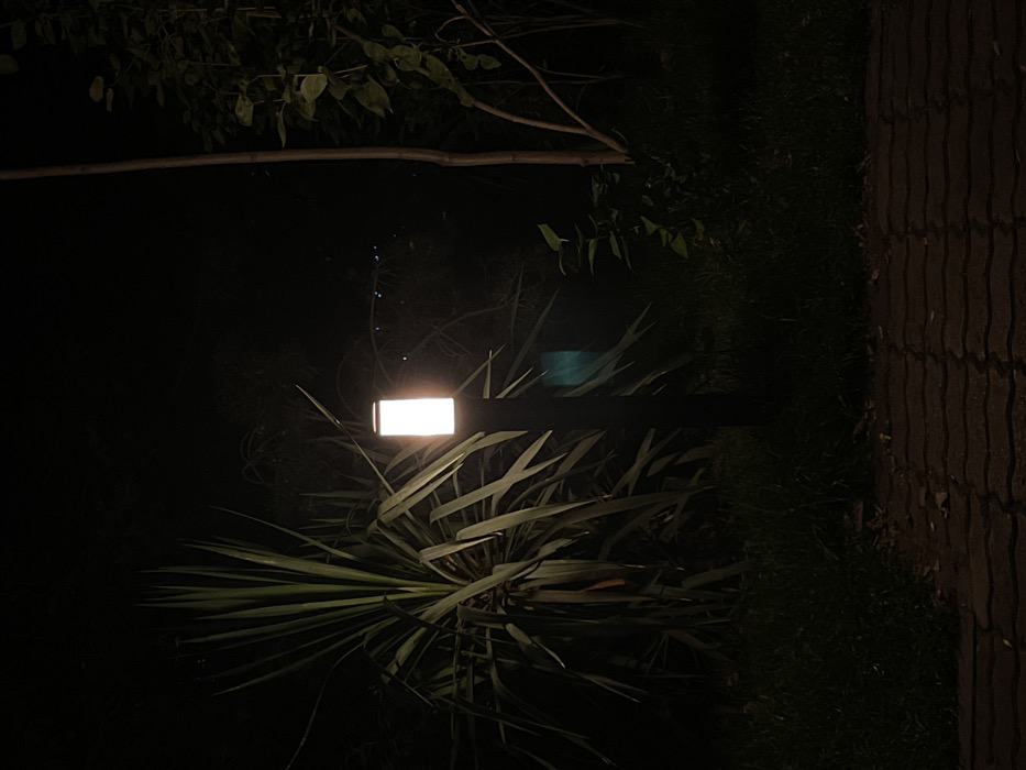 A brightly lit outdoor light fixture is situated amongst dense foliage. Elongated leaves cluster below the light, contrasting with the darkness beyond. Above, branches and leaves form a canopy silhouette against the night sky. A textured, paved path or wall stands vertically to the right, bordering the darkness. The overall scene is dominated by dark tones, punctuated by the lamp's stark illumination.
