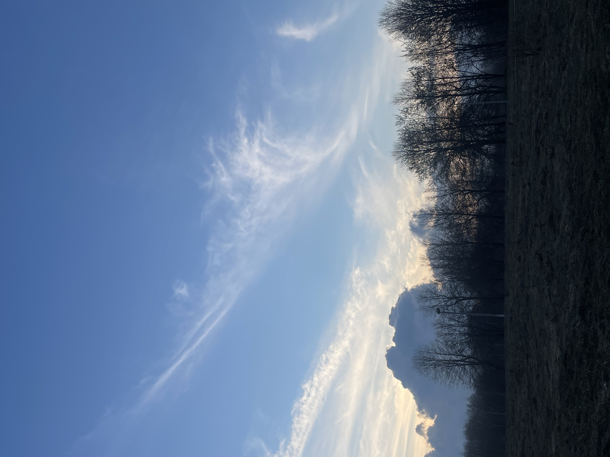 The image shows a view towards the sky above a dark, grassy area and treeline. The sky is predominantly blue with wispy, cirrus-type clouds. A large, dark cumulonimbus cloud is visible behind the treeline, which appears to be silhouetted against a brighter area of the sky, likely due to the sun's position. There is no other information to definitively determine the location is in Moscow, Russia.