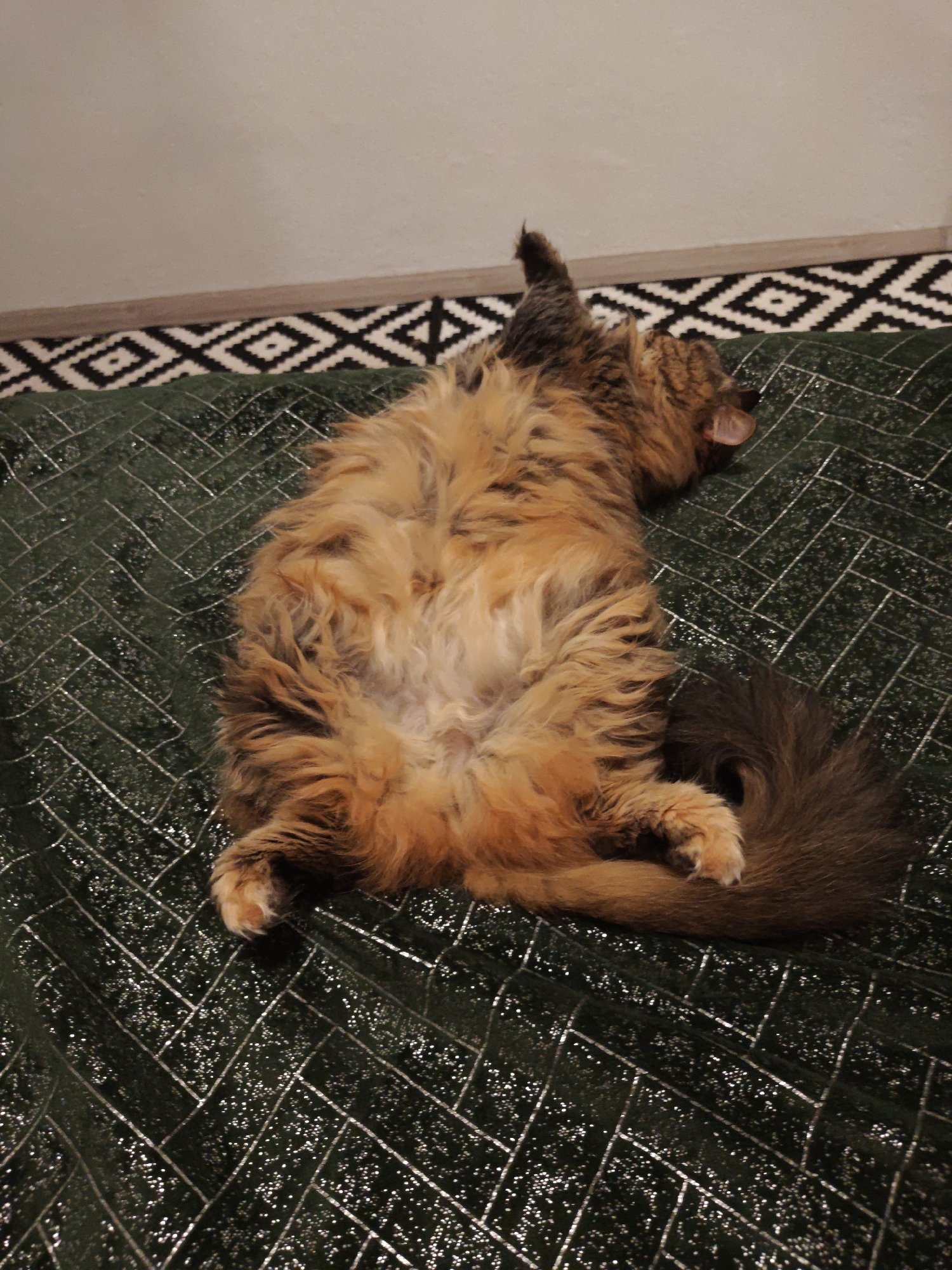 A long-haired cat with tabby markings, primarily in shades of brown and orange, is lying on its back on a dark green fabric with a herringbone pattern of silver threads. The cat's underside is exposed, revealing a lighter colored belly. Its tail is curled around its hindquarters. In the background, there is a black and white geometric patterned rug or carpet, and above that, a light-colored wall with a wooden baseboard. The scene appears to be indoors, possibly in a residential setting. There is no indication of the specific location in the city of Odesa, Ukraine.