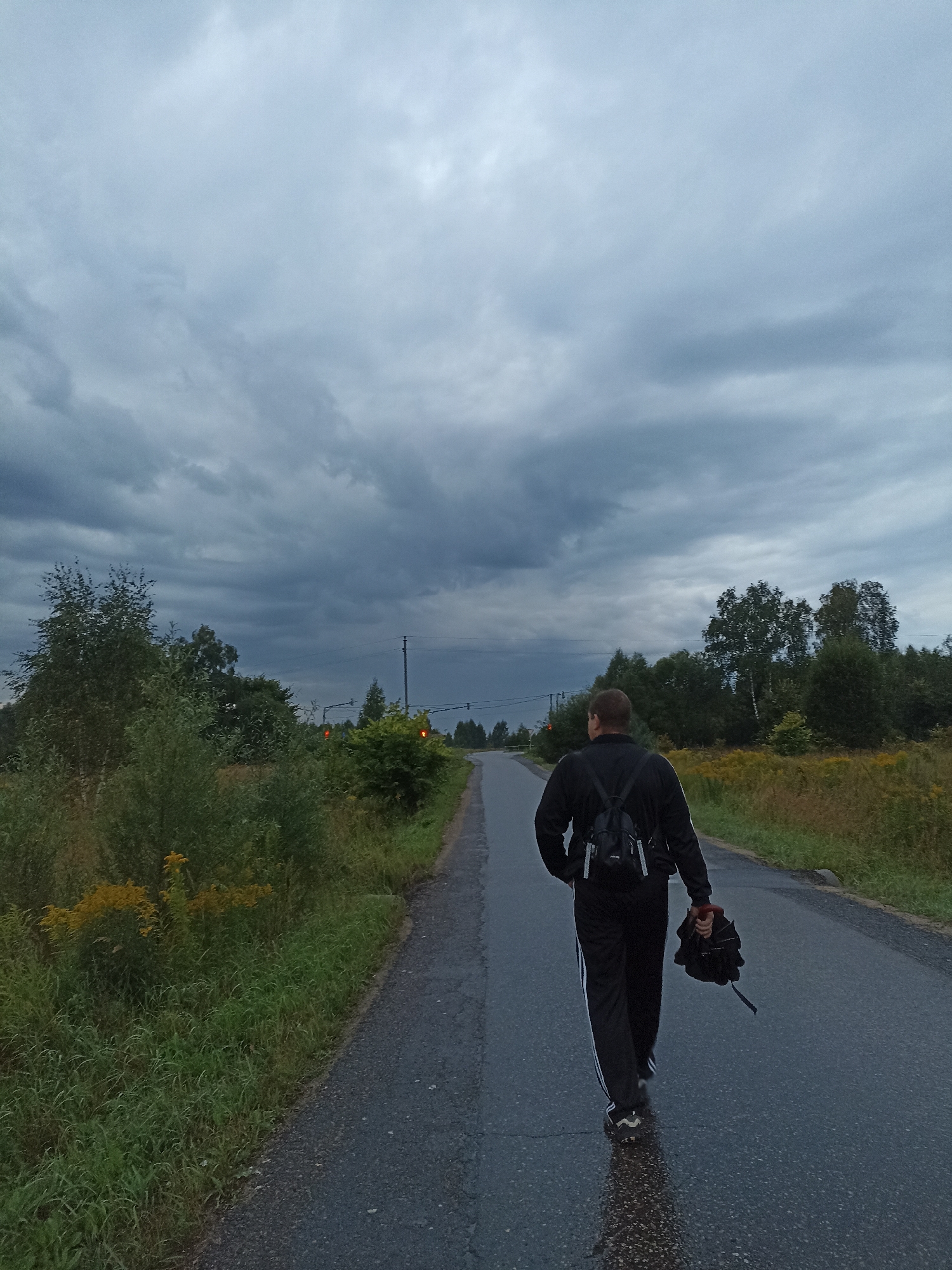 A person walks away from the camera on a wet asphalt road in Ryzhikovo, Russia, under a cloudy sky. The individual is wearing a black tracksuit with white stripes down the legs and a black backpack. They are carrying a folded black item in their right hand. The road is bordered by green grass and trees, with some yellow wildflowers visible on the right side. In the distance, traffic lights are illuminated red. The overall atmosphere is somber due to the overcast weather.
