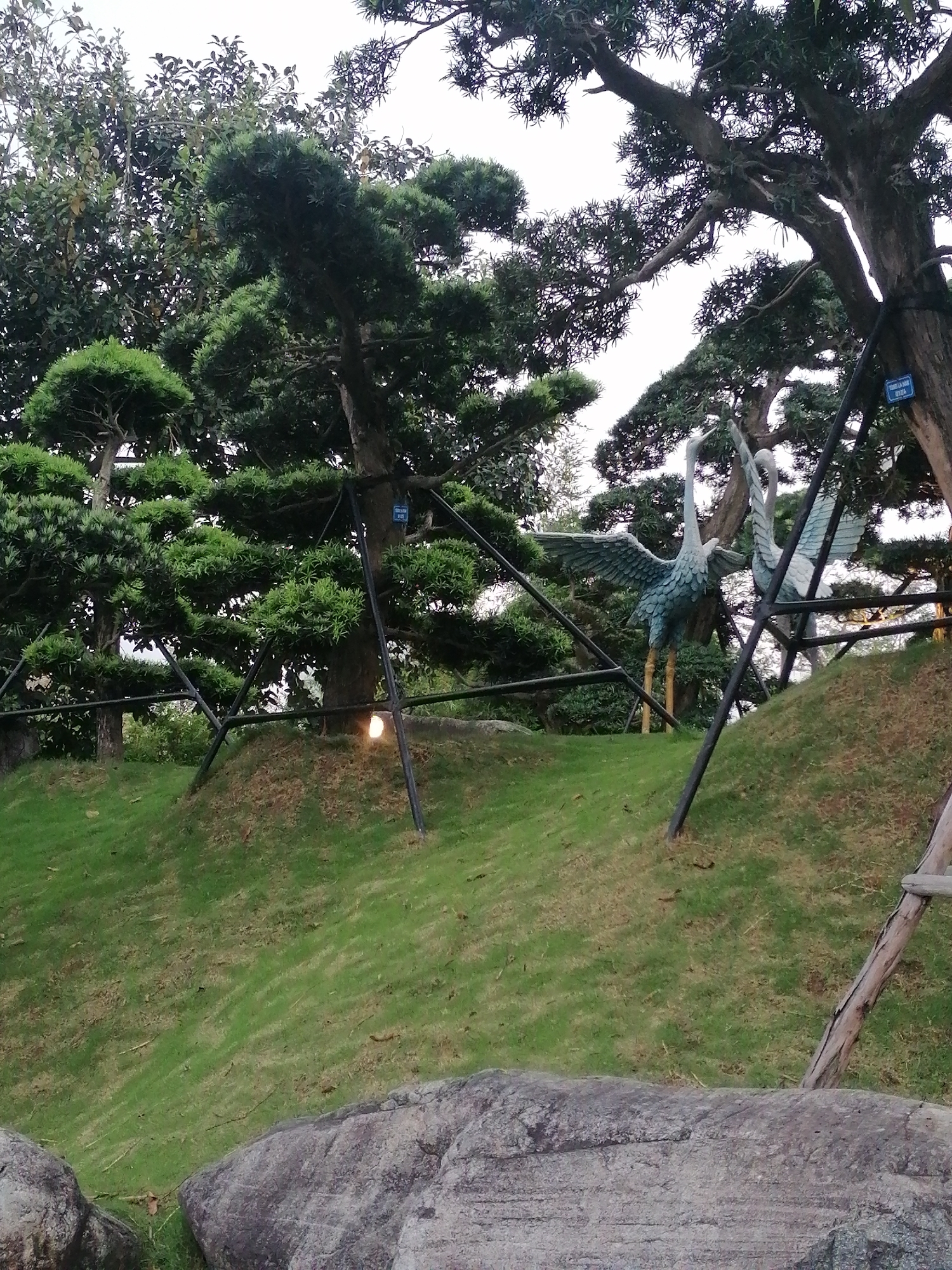 The image captures a landscape within Hong Gai Ward, Vietnam, featuring two crane statues standing on a grassy hill. The statues, appearing to be made of stone or metal, depict cranes with outstretched wings. They are surrounded by trees, some supported by metal and wooden structures. A large rock is visible in the foreground. The sky is overcast.