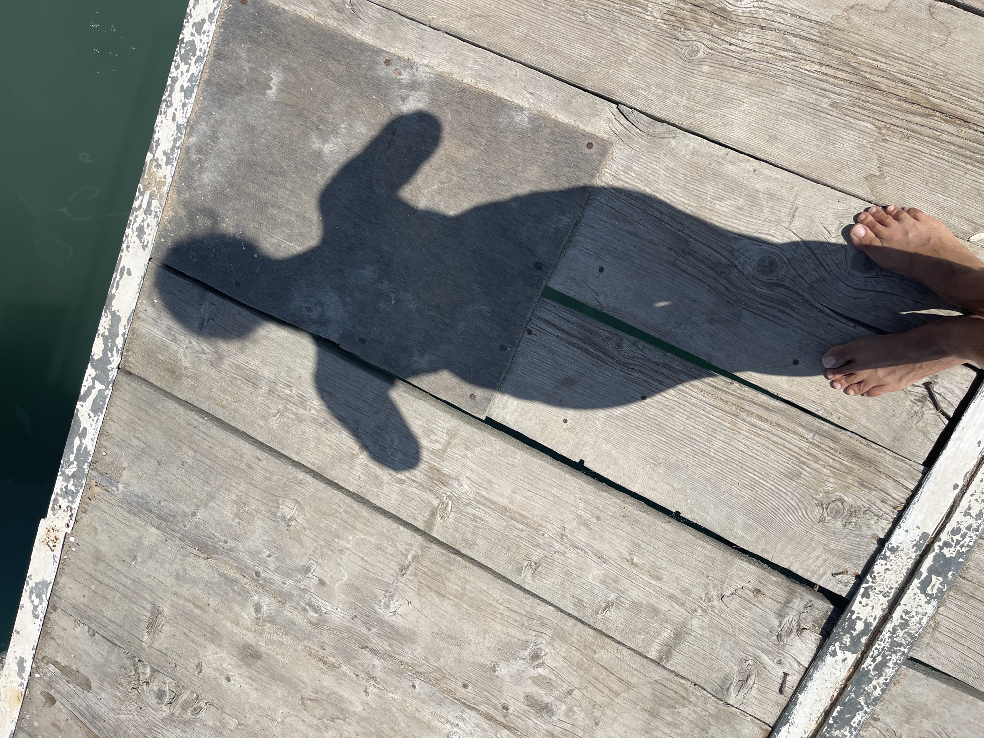 The image shows a shadow of a person with arms outstretched standing on a wooden pier. The pier is made of weathered wooden planks and runs alongside a body of green water. A white metal railing runs along the edge of the pier. The person's bare feet are visible at the bottom of the frame, casting the shadow. The sun is casting a strong shadow, indicating it is likely daytime. The location is the city of Ornek, Kyrgyzstan.