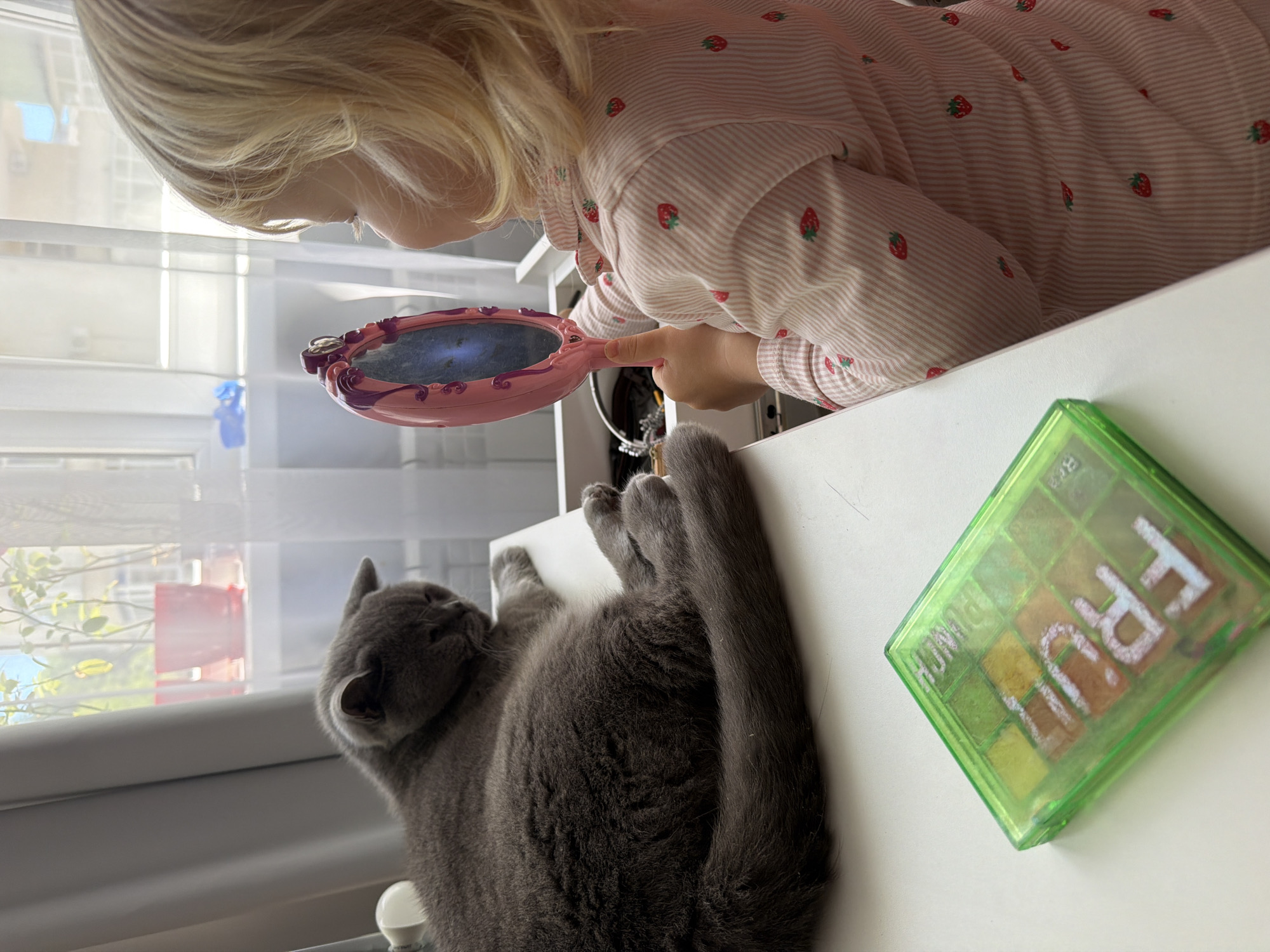 This bright indoor image, likely captured in Sochi, Russia, features a young child and a gray cat in a naturally lit setting during daytime.
On the right side of the frame, a child with blonde hair, wearing a light-colored, striped shirt with red strawberry patterns, is leaning over a white surface. They are holding a pink, ornate hand mirror, intently looking into its reflective surface.
To the left, a sleek, gray cat with short fur, possibly a Russian Blue, is comfortably sprawled on its back and side on the same white surface. Its head is turned towards a large window, suggesting it is either resting or observing the outside world. Through the window, blurred green foliage and distant buildings are visible, partially obscured by light-colored blinds.
On the white surface, beside the cat and near the child's arm, a clear green plastic container is visible. This object, which appears to be a compact case such as an eyeshadow palette or a candy box, clearly displays the text "FRUIT PUNCH" on its lid. The overall scene conveys a sense of peaceful domesticity and quiet activity.