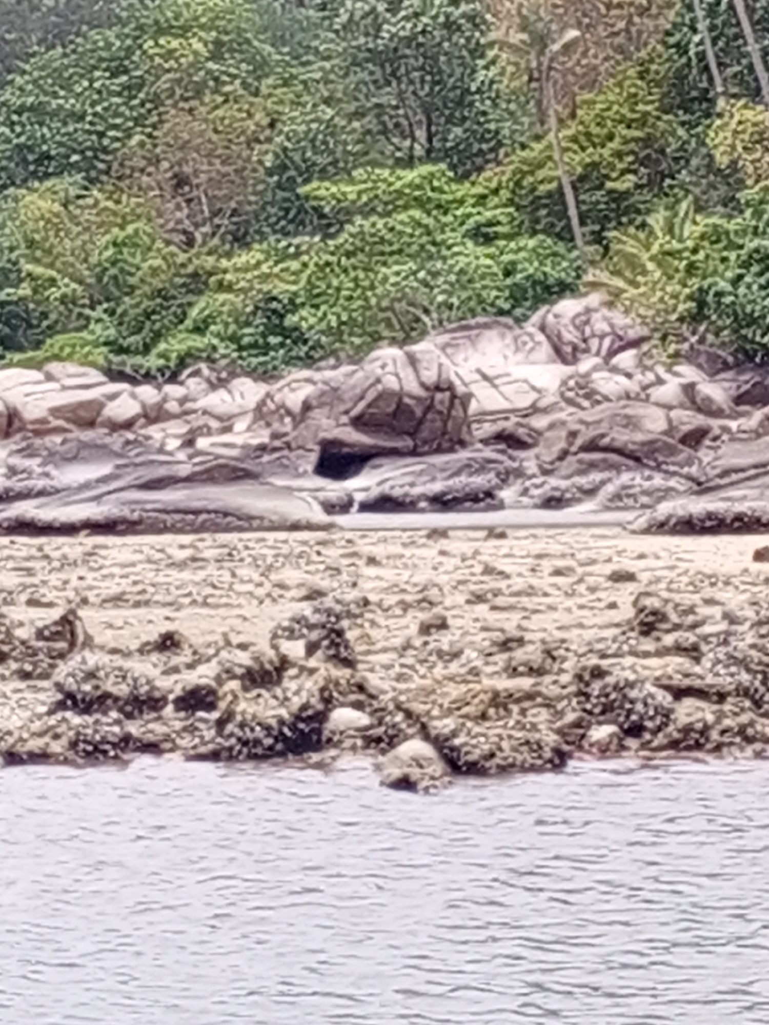 The image depicts a coastal scene. The foreground features water with slight ripples, transitioning into a rocky shoreline. The rocks are covered with what appears to be marine growth. Beyond the shoreline is a sandy area leading to a rocky outcrop with large boulders. Dense green vegetation covers the higher ground in the background. The location is in Unknown, Unknown.