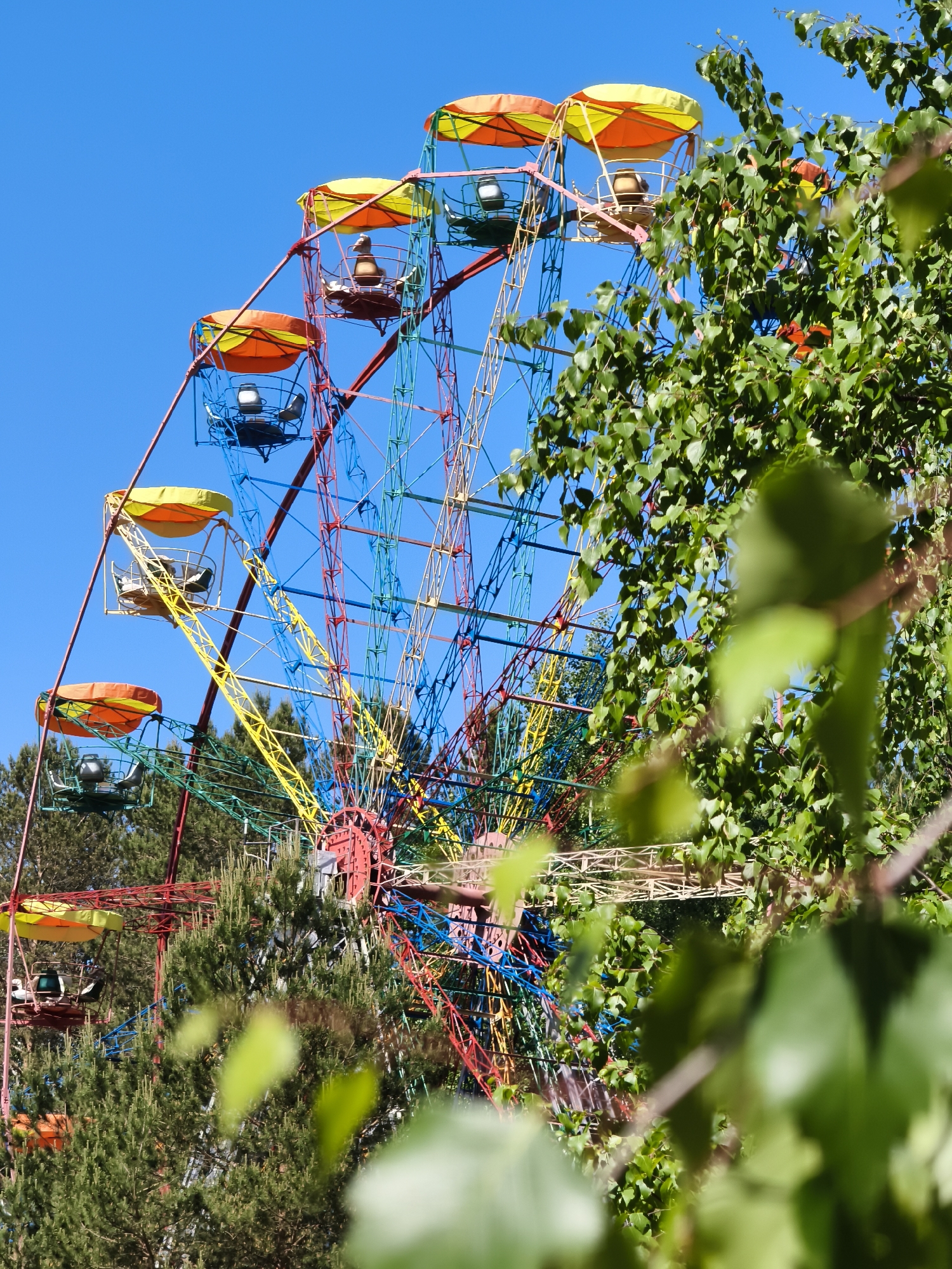 The image depicts a colorful Ferris wheel in the city of Chaikovsky, Russia. The Ferris wheel has a multi-colored frame and yellow-orange canopies over the passenger cars. The sky is clear and blue. The Ferris wheel is partially obscured by green foliage, including trees and branches with leaves in the foreground and background.