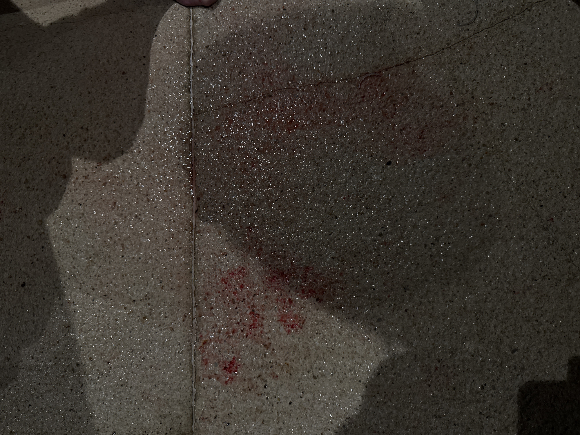 The image depicts a floor or ground surface, possibly tiled, with apparent stains or splashes of a reddish substance suggestive of blood. The surface appears to be damp or wet. The lighting is dim, and there are shadows suggesting an indoor location with overhead light. The location of Puerto Marqués, Mexico is not identifiable from the visual evidence.