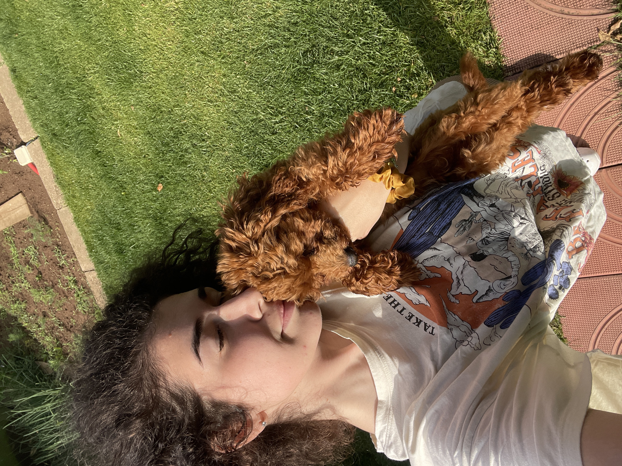 An overhead, slightly angled shot captures a young person and a small, reddish-brown curly-haired dog relaxing outdoors in a sunlit garden, likely in Sofia, Bulgaria. The person, with dark, curly hair and closed eyes, is lying on their back, appearing to be asleep or resting. A small, fluffy dog, resembling a poodle or doodle mix, is nestled on the person's chest and shoulder, its rich reddish-brown fur a prominent feature. A yellow scrunchie or accessory is visible near the dog's neck.
The individual wears a light-colored t-shirt adorned with a graphic design. Part of the text "TAKE THE" is legible, set against an illustration that includes what looks like an eagle or bird motif in an earthy color palette of orange, blue, and white.
The outdoor setting is bathed in bright sunshine, indicating a clear day, likely mid-morning or afternoon, with distinct shadows cast. The background is segmented: lush green grass occupies the upper left and central portions, bordered by a concrete curb. Below the curb is a strip of dark soil with small green plants, suggesting a garden bed. To the right of the person, a reddish-brown tiled patio area is visible. The overall mood conveyed is one of peaceful affection and relaxation.