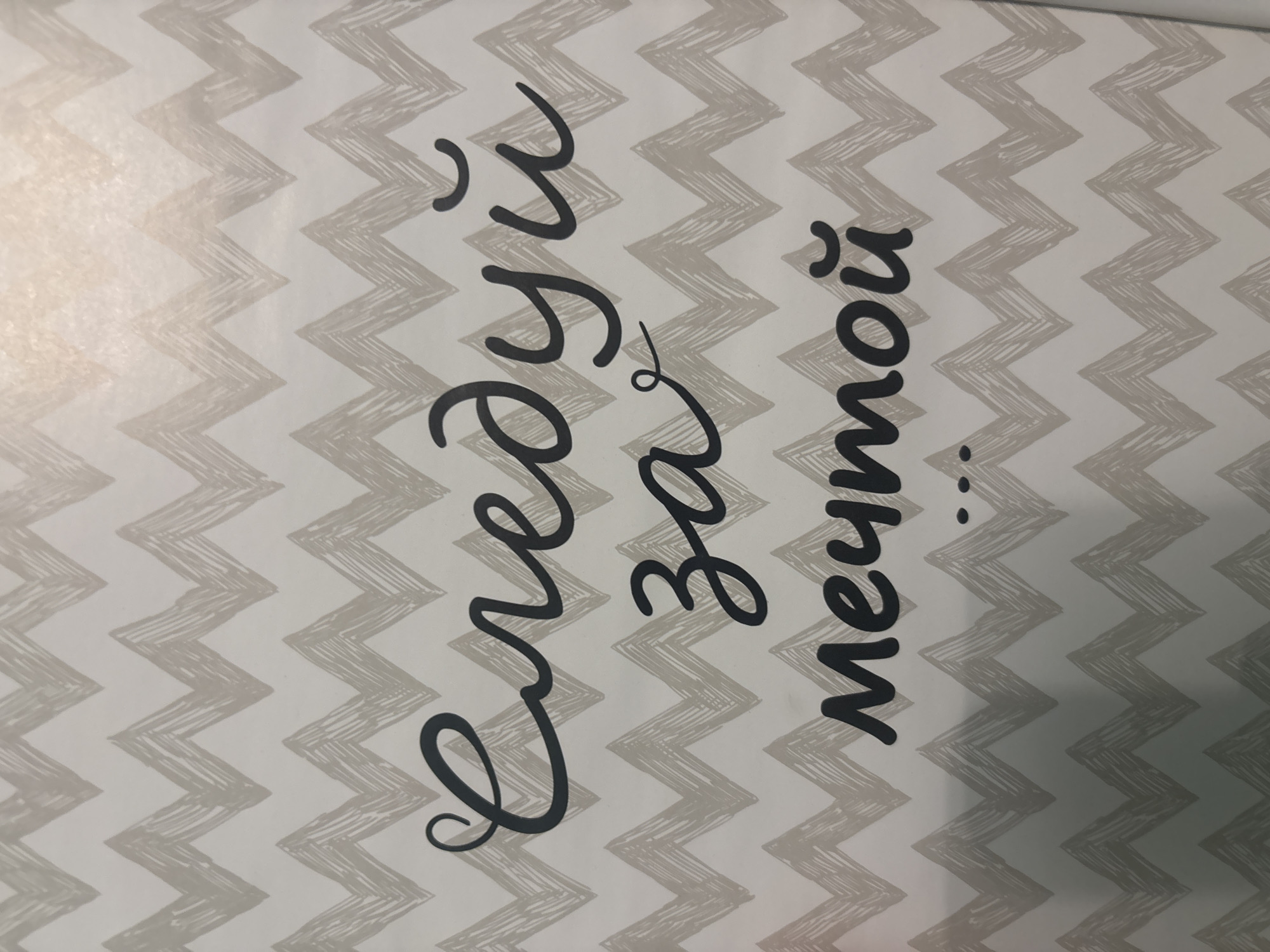 The image shows a close-up of a textured wall with a chevron pattern in light gray and white. Superimposed on the pattern are three lines of dark gray handwritten text. The text appears to be in Cyrillic script. The first line reads "Следуй" (Sleduy), the second line reads "за" (za), and the third line reads "мечтой" (mechtoy). The phrase translates to "Follow your dream". There are also three small dots below the third line. The image does not provide any information about its location in Saint Petersburg or any other details about people, actions, interactions, or the environment.