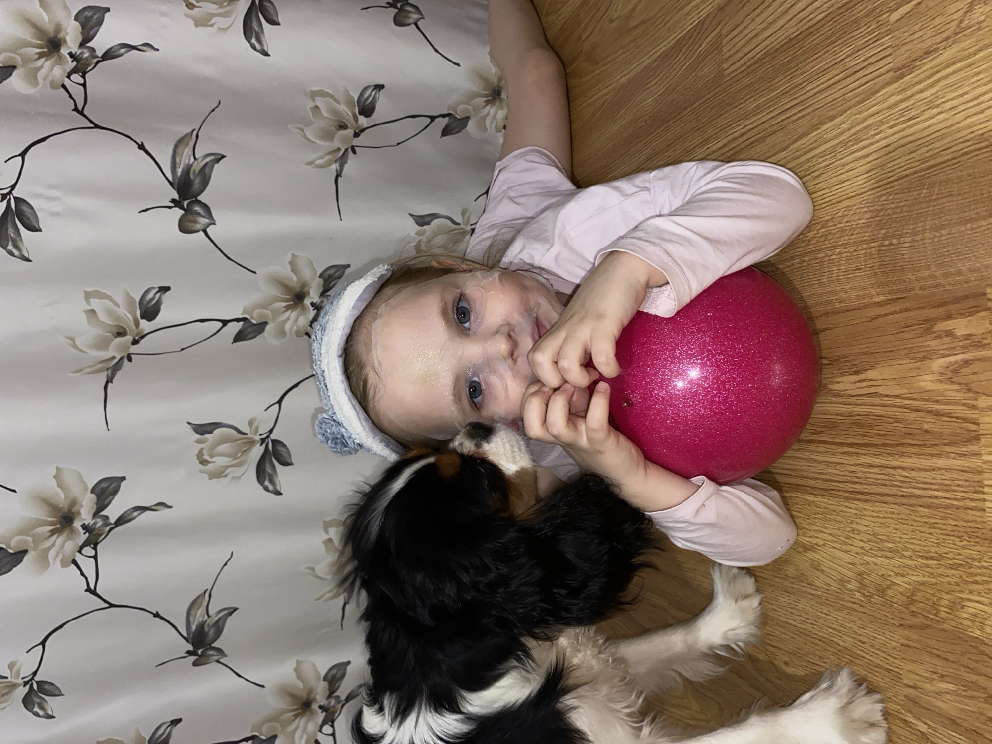 A heartwarming indoor scene captures a young child and a tri-color dog interacting closely while lying down. The image is oriented sideways, with the subjects positioned on a surface that is half light-toned wooden floorboards and half a patterned fabric featuring delicate off-white and grey floral designs on a light background.
The child, appearing to be a toddler or very young, has light hair and blue eyes, looking towards the viewer with a gentle expression. They are wearing a light pink long-sleeved top and a soft, light blue or grey head-wrap with small ear-like details. A transparent, possibly a facial mask or dampness, is visible on their face. The child holds a shiny, glittery pink ball with both hands, close to their face.
Next to the child, a dog with black, white, and brown markings, resembling a Cavalier King Charles Spaniel, is seen. The dog's nose is touching or very close to the child's face, suggesting an affectionate sniff or gentle nuzzle. The dog's fluffy fur and characteristic long ears are visible.
The scene conveys a tender and playful moment, emphasizing the bond between the child and their pet. The setting is clearly indoors, likely within a home. The lighting is soft and ambient, making the specific time of day unclear. There is no visible text in the image.